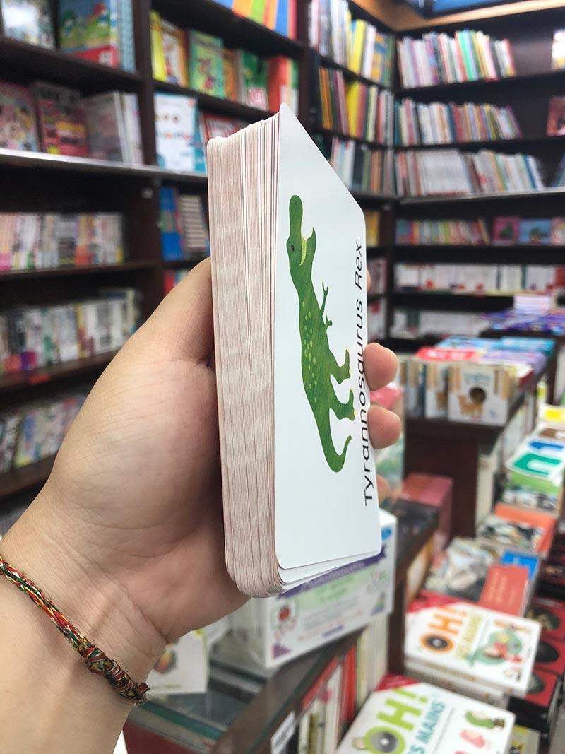 little genius card dino snap