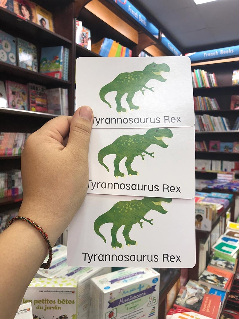 little genius card dino snap