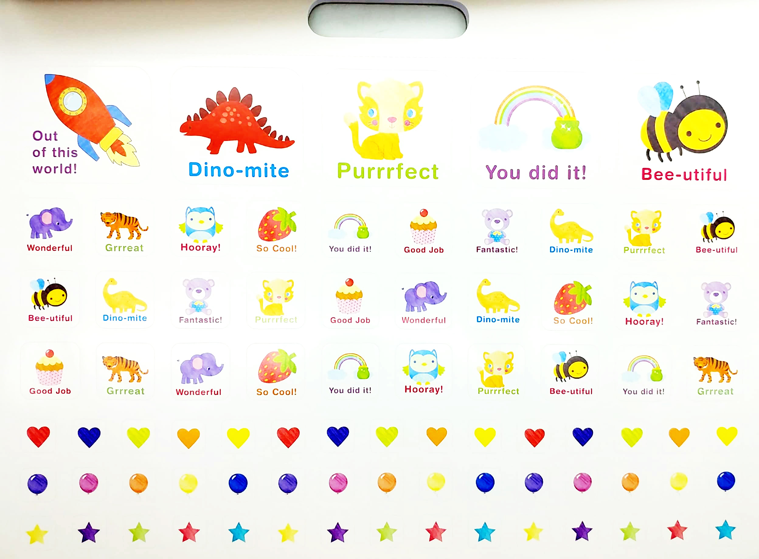 little genius: times table fun educational activity book