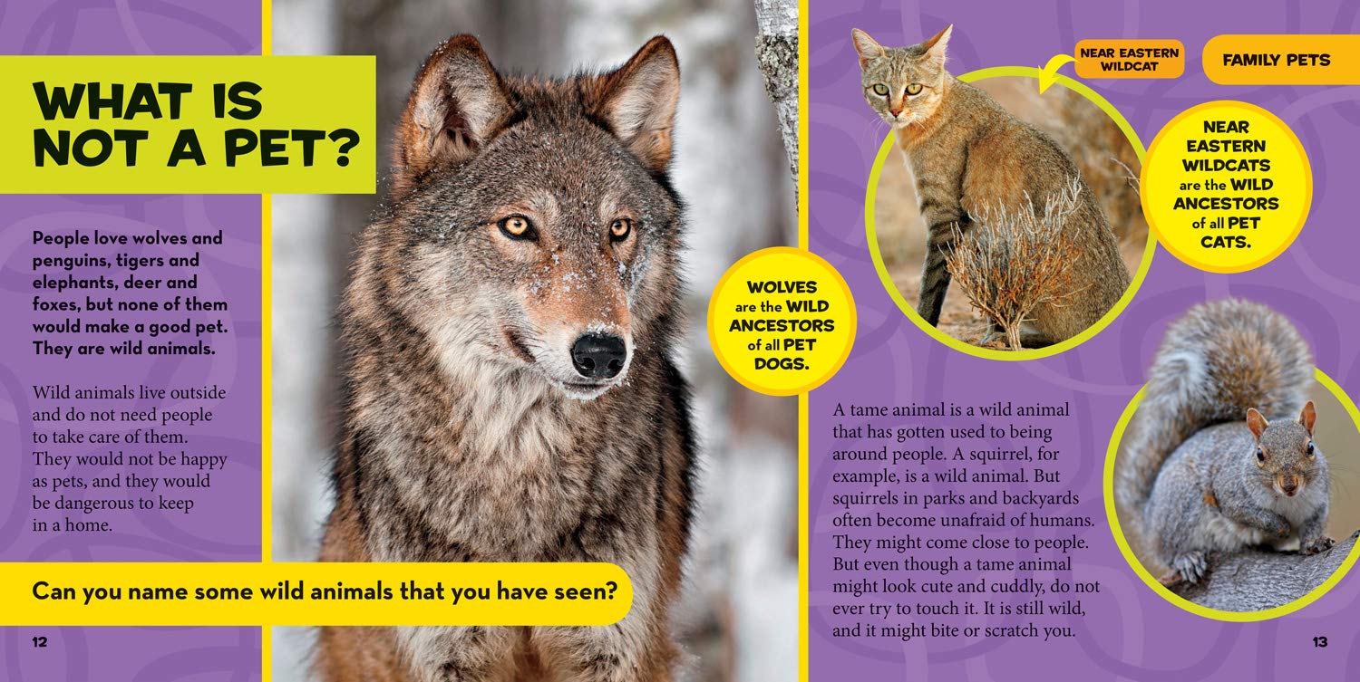 little kids first big book of pets (national geographic little kids first big books)