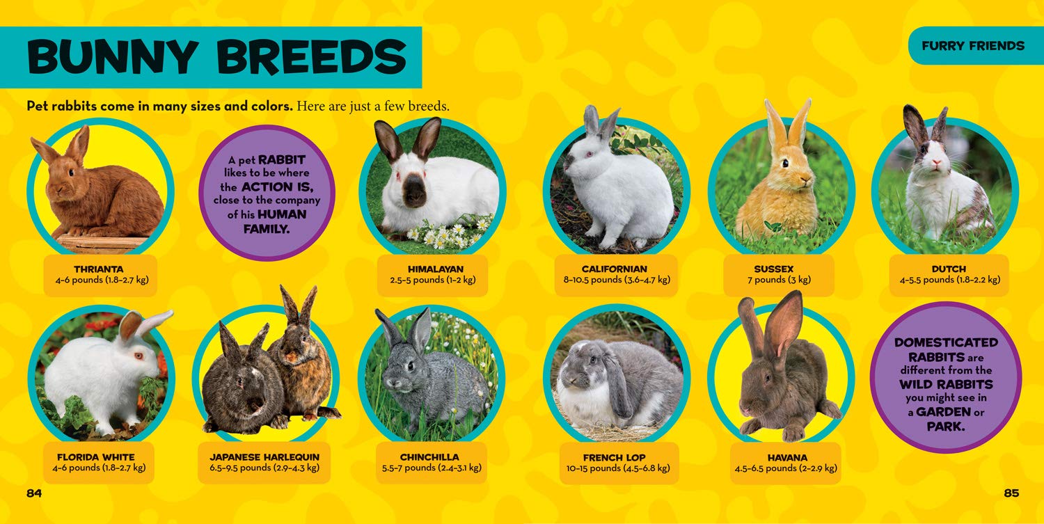 little kids first big book of pets (national geographic little kids first big books)