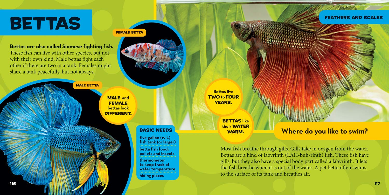 little kids first big book of pets (national geographic little kids first big books)