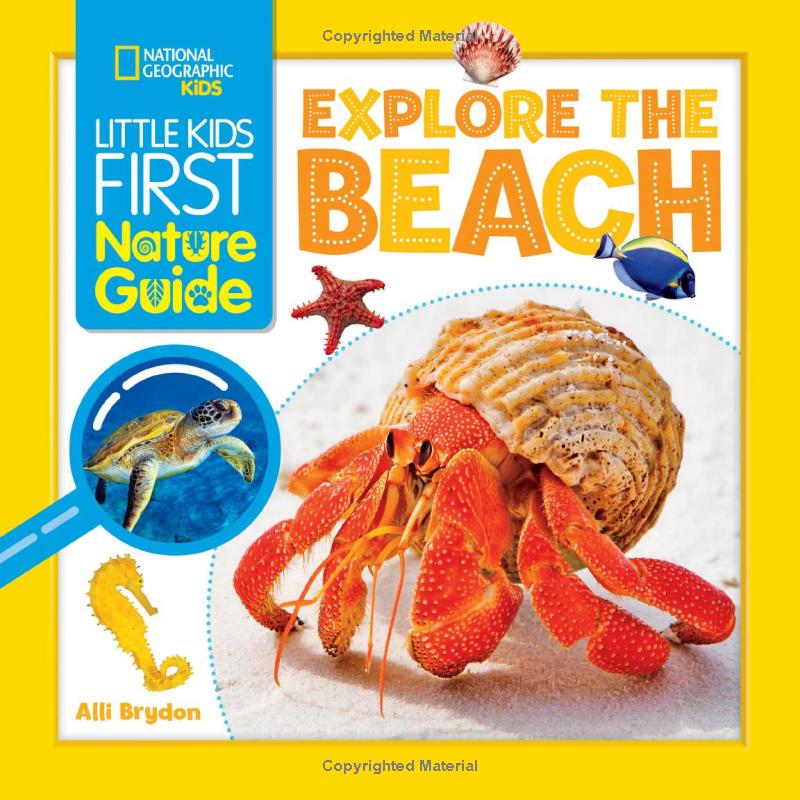 little kids first nature guide - explore the beach