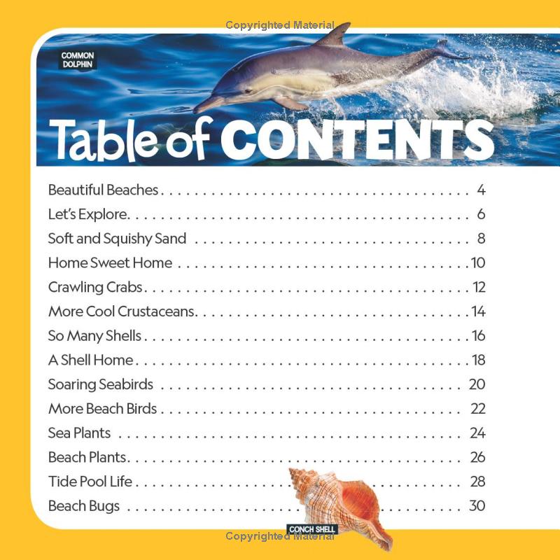 little kids first nature guide - explore the beach