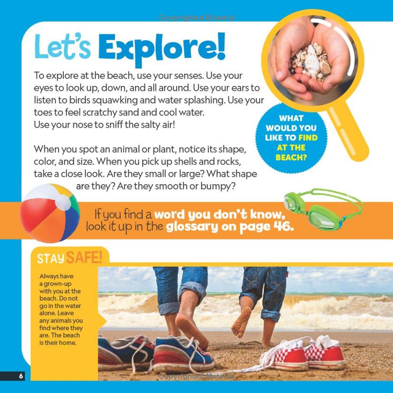 little kids first nature guide - explore the beach