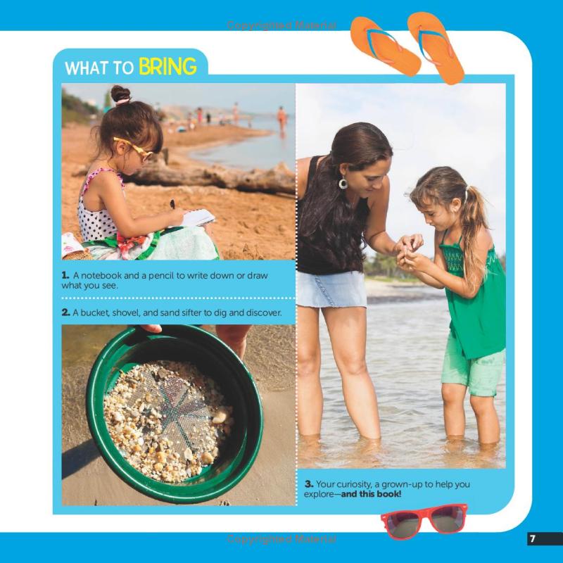 little kids first nature guide - explore the beach