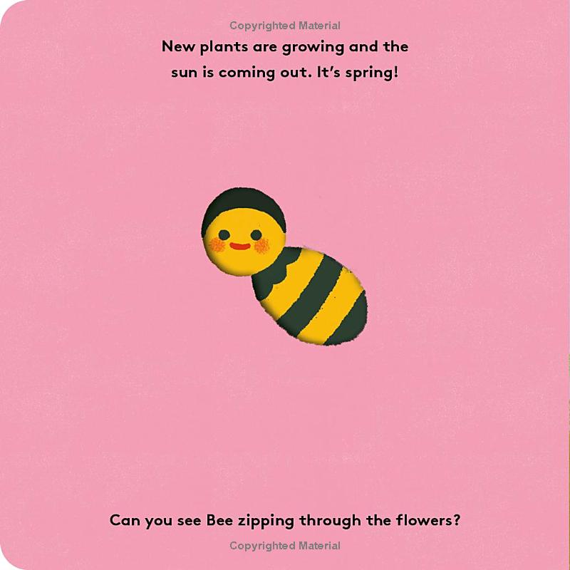 little life cycles - bee