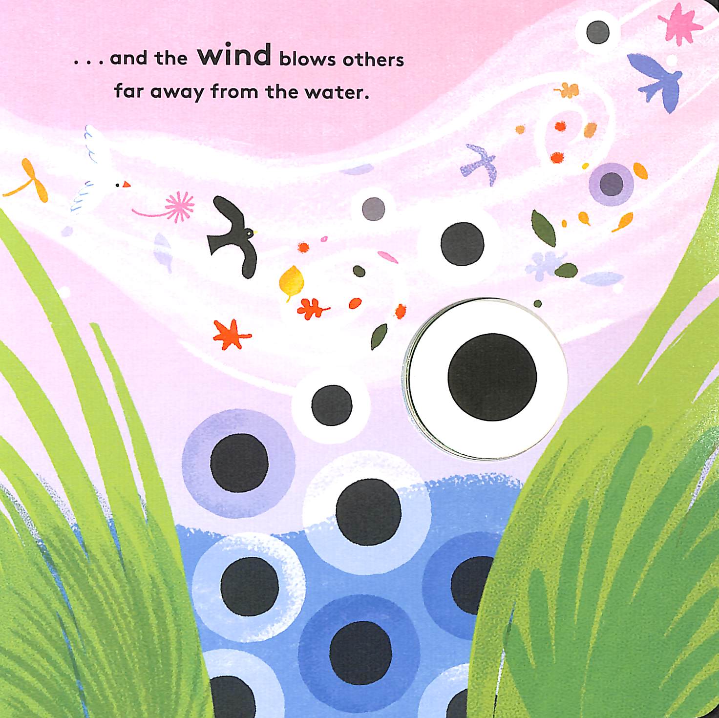 little life cycles - frog