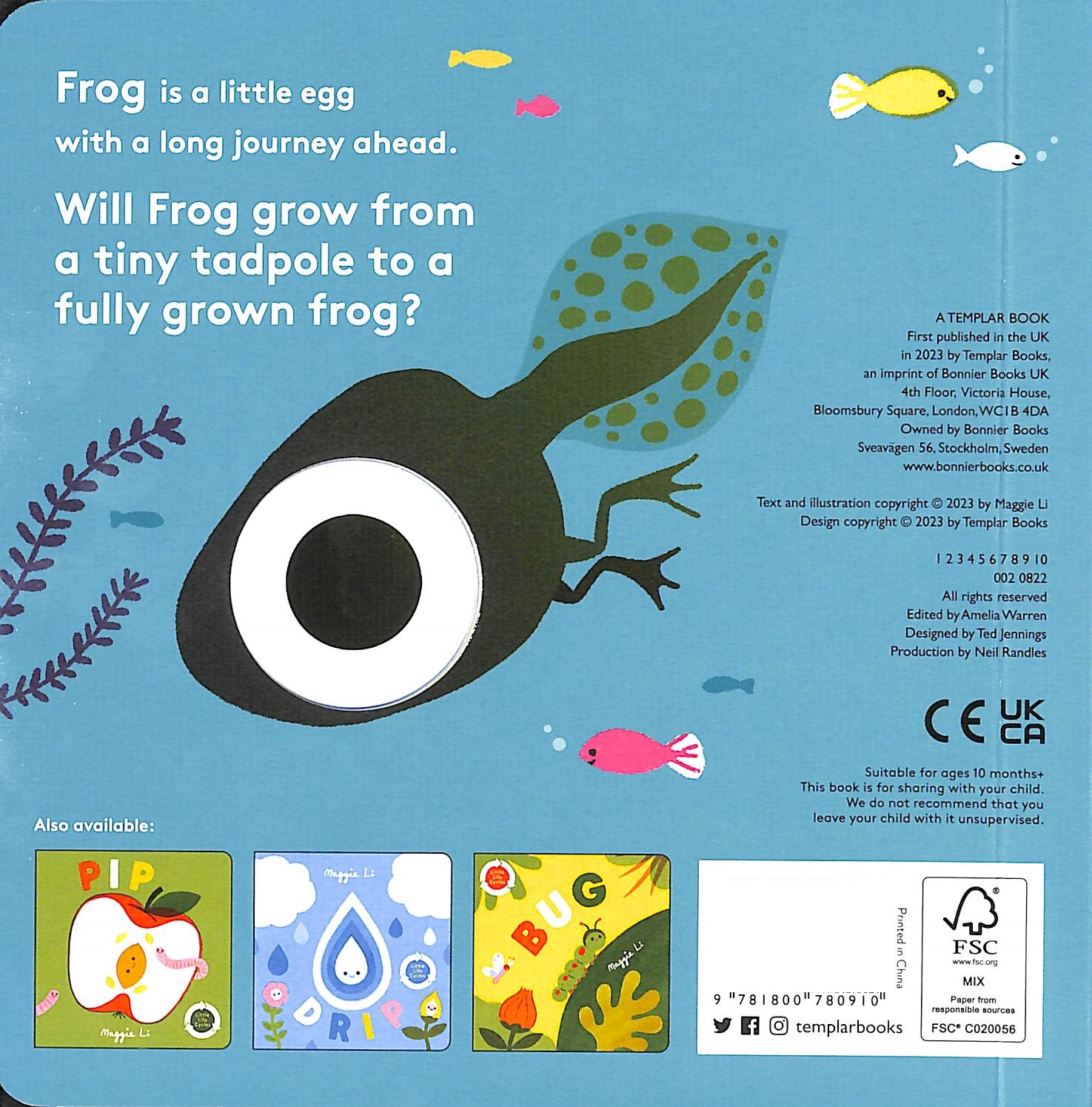 little life cycles - frog
