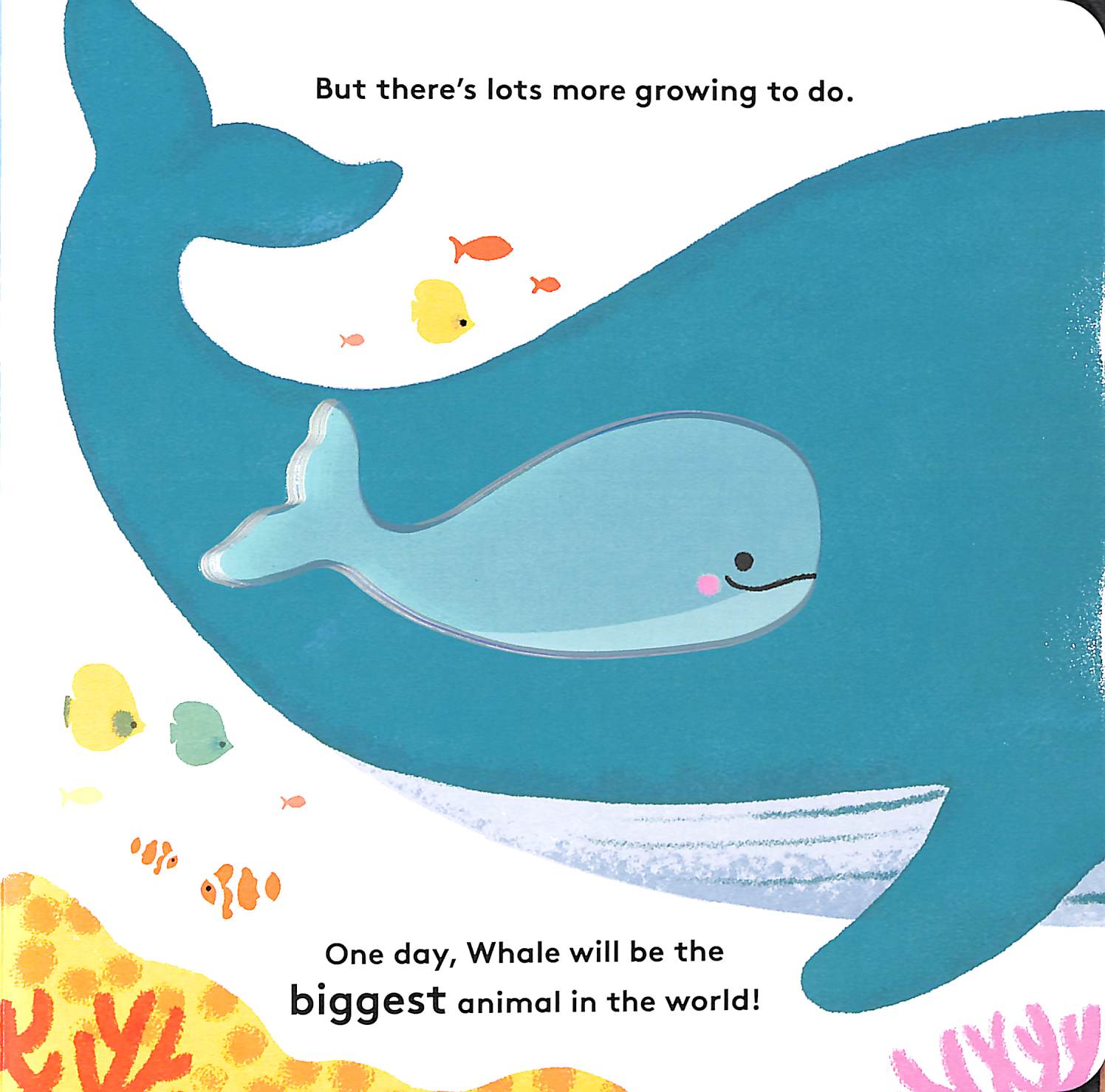 little life cycles - whale