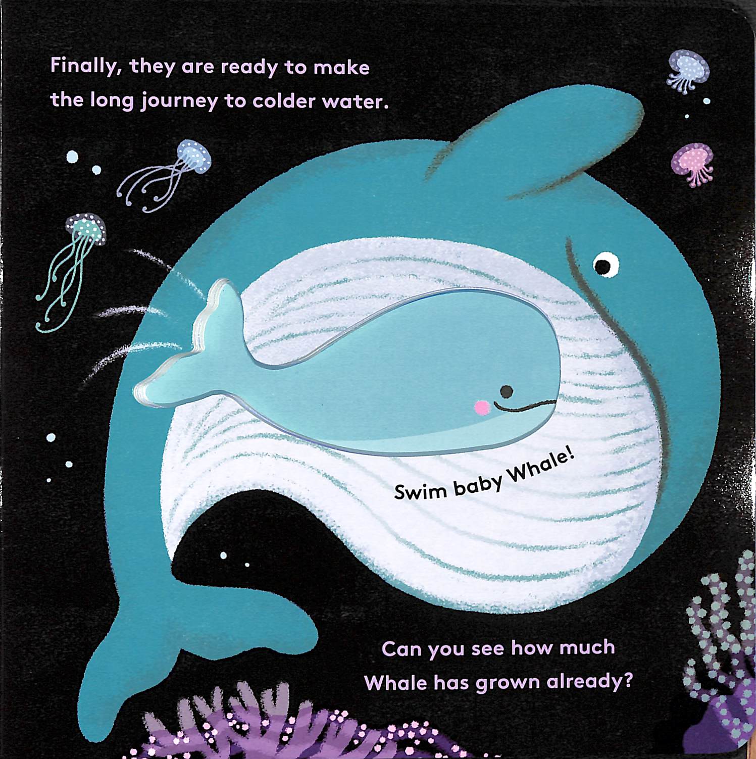 little life cycles - whale