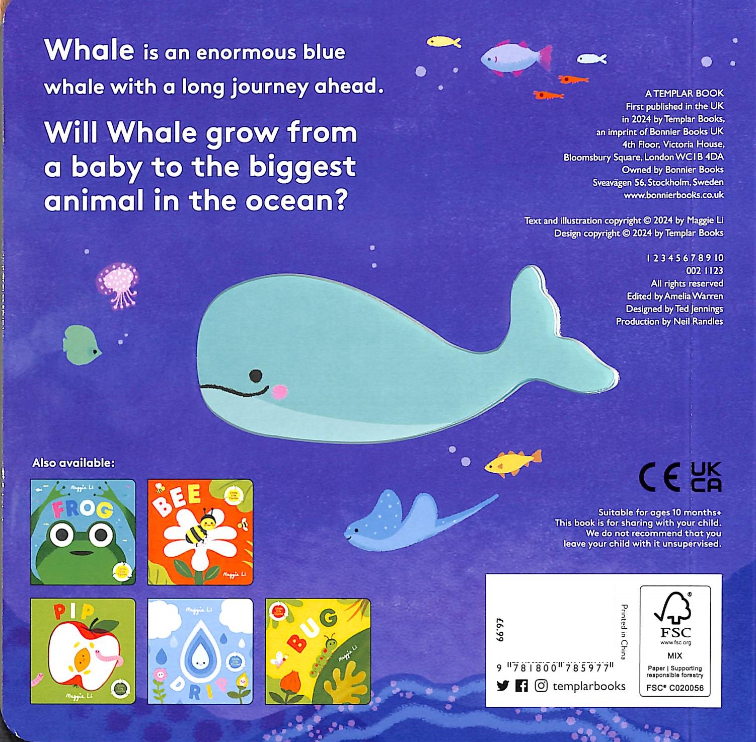 little life cycles - whale