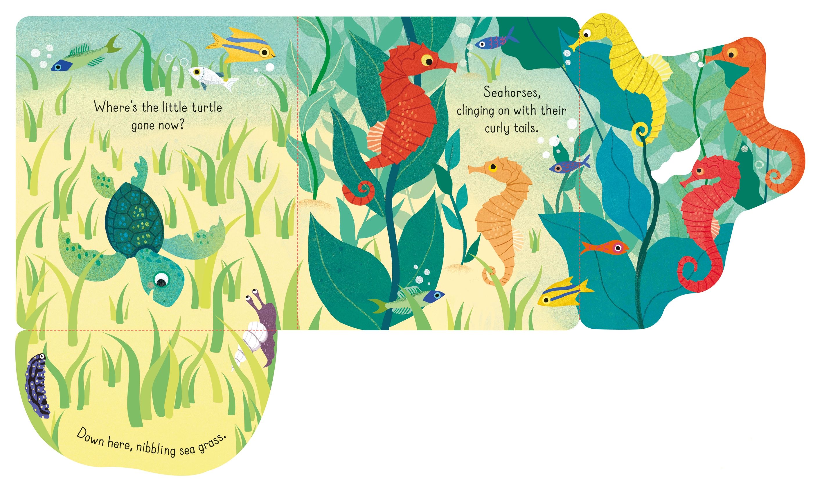 little lift and look under the sea