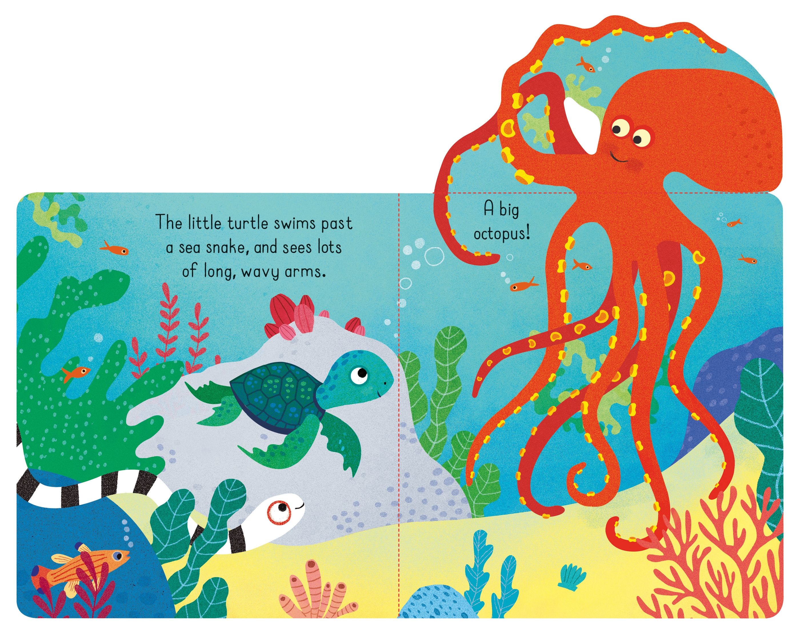 little lift and look under the sea