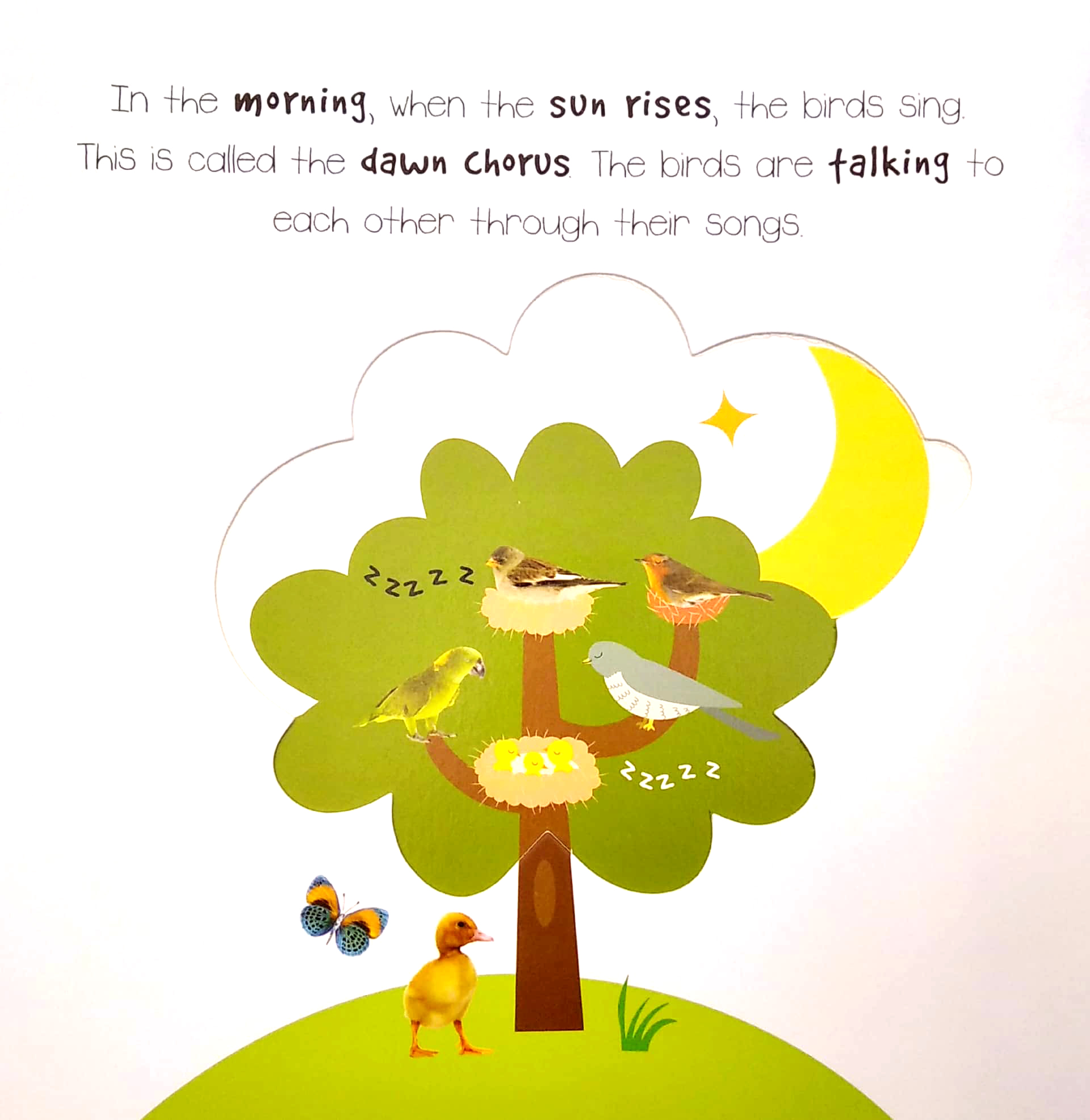 little wonders a pop-out play book: night & day