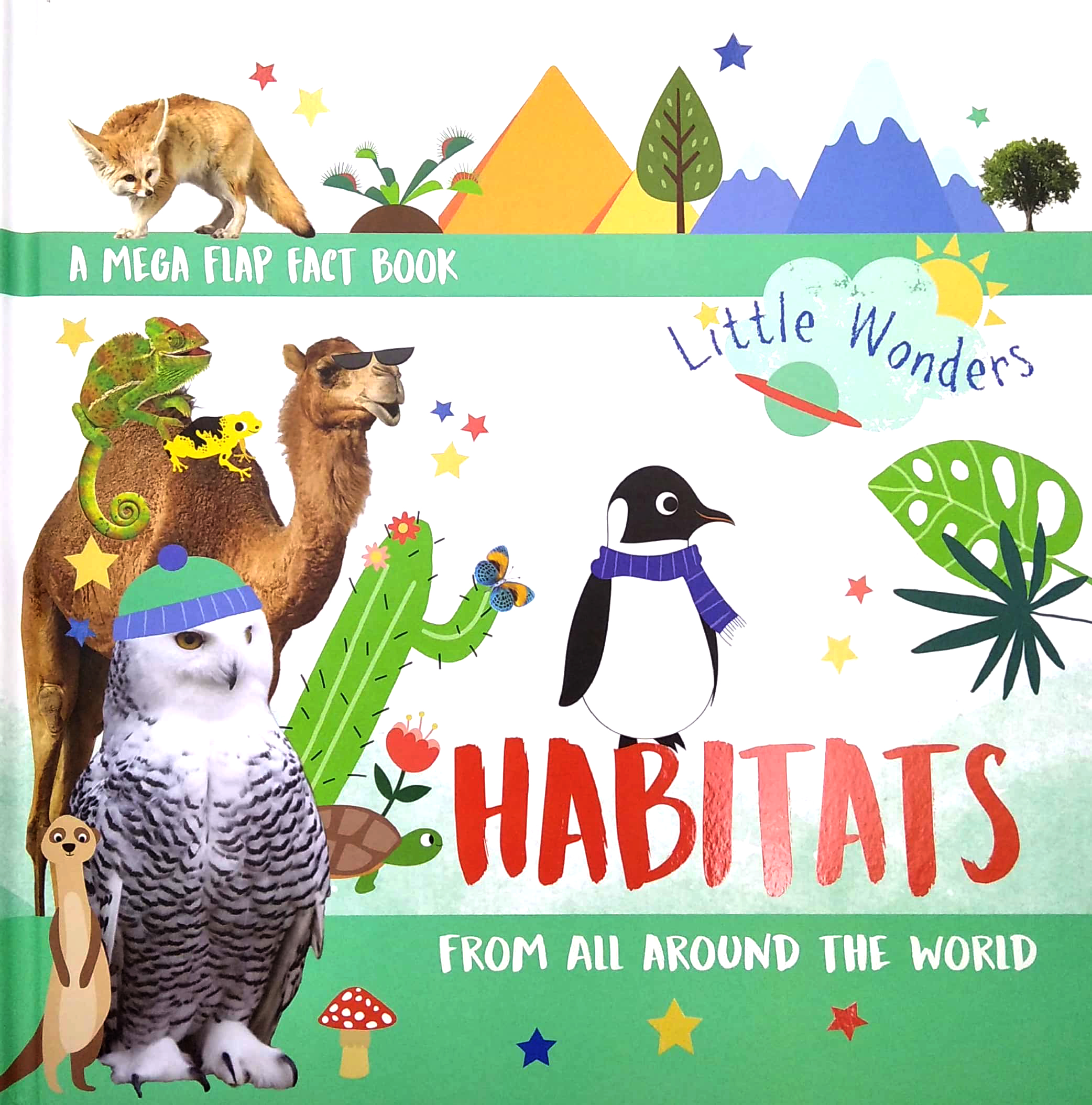 little wonders - habitats - multi-flap