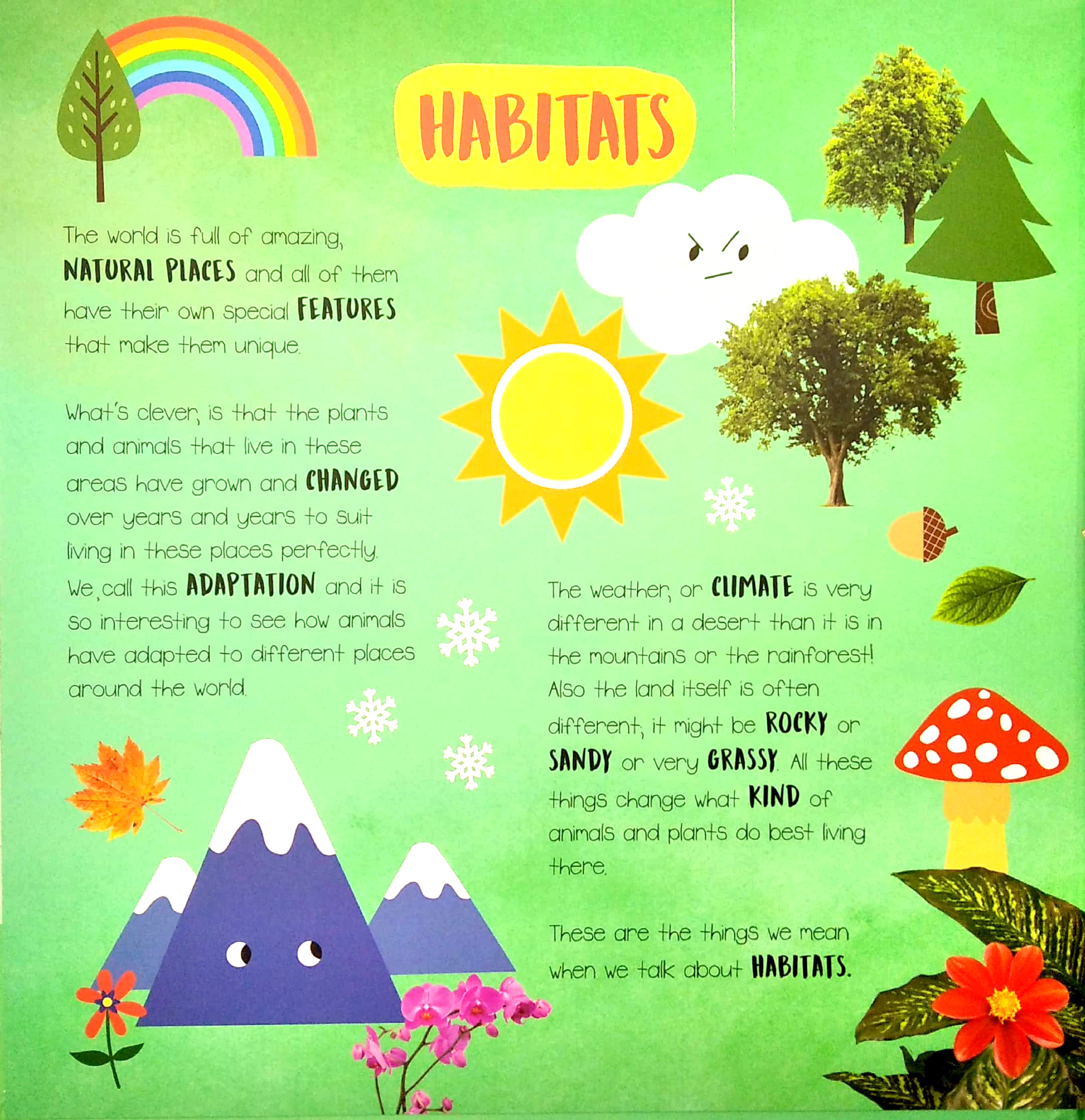 little wonders - habitats - multi-flap
