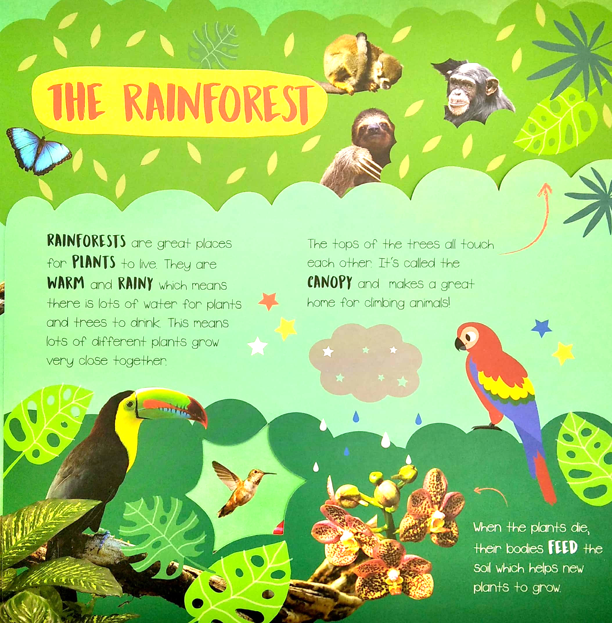 little wonders - habitats - multi-flap