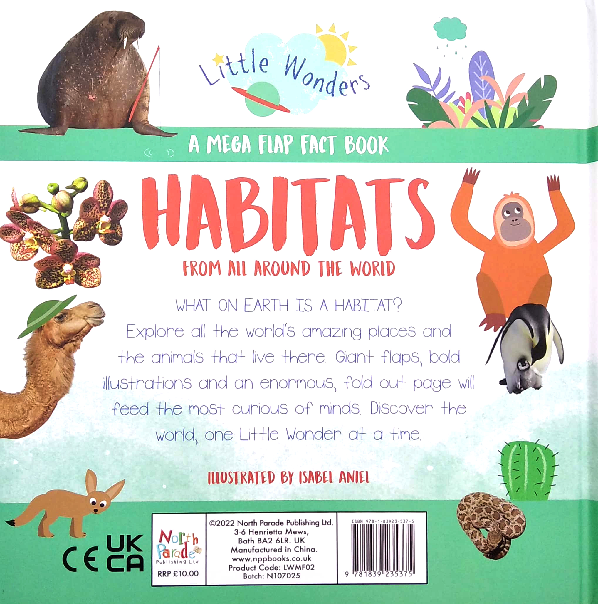 little wonders - habitats - multi-flap