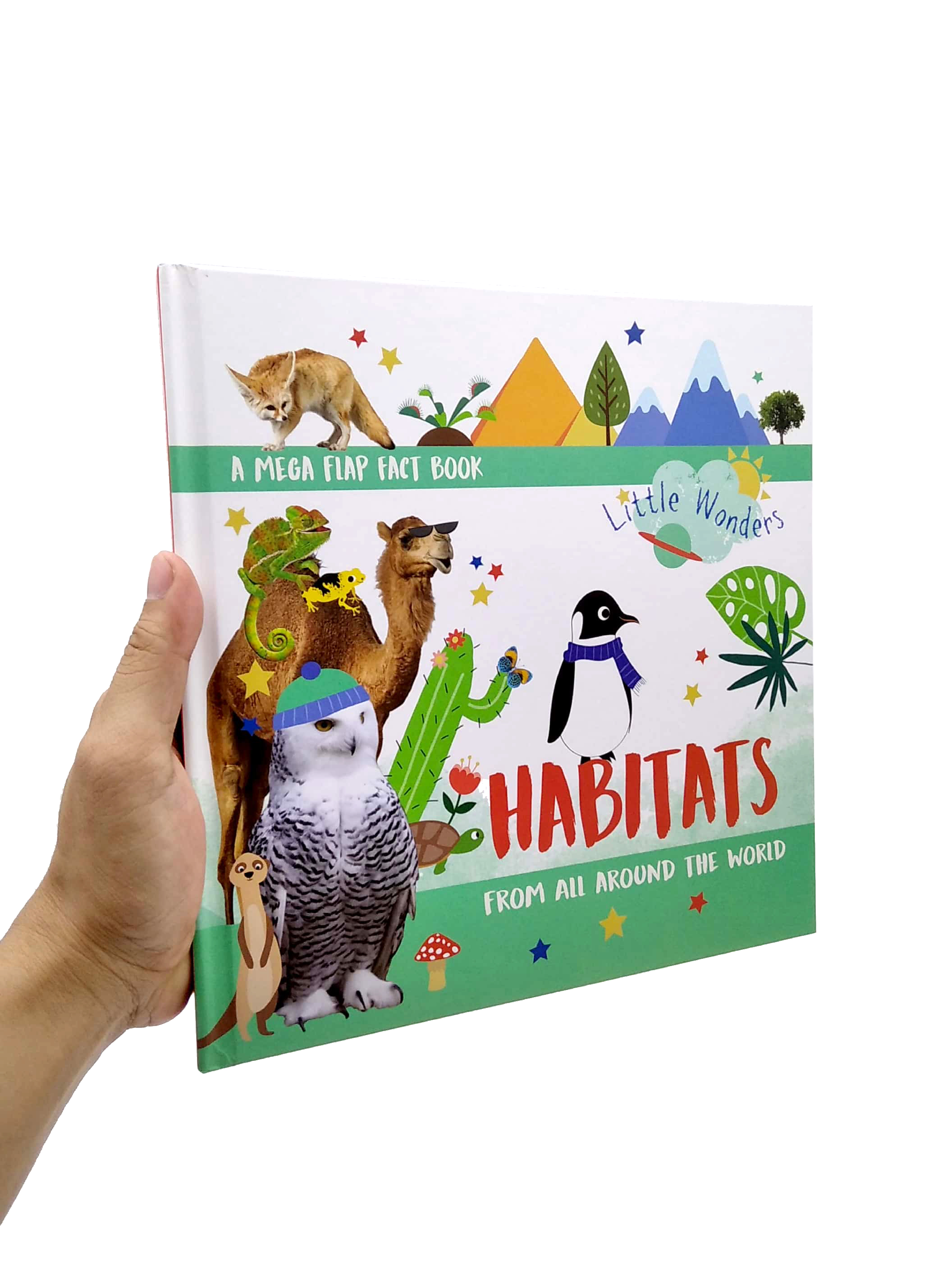 little wonders - habitats - multi-flap