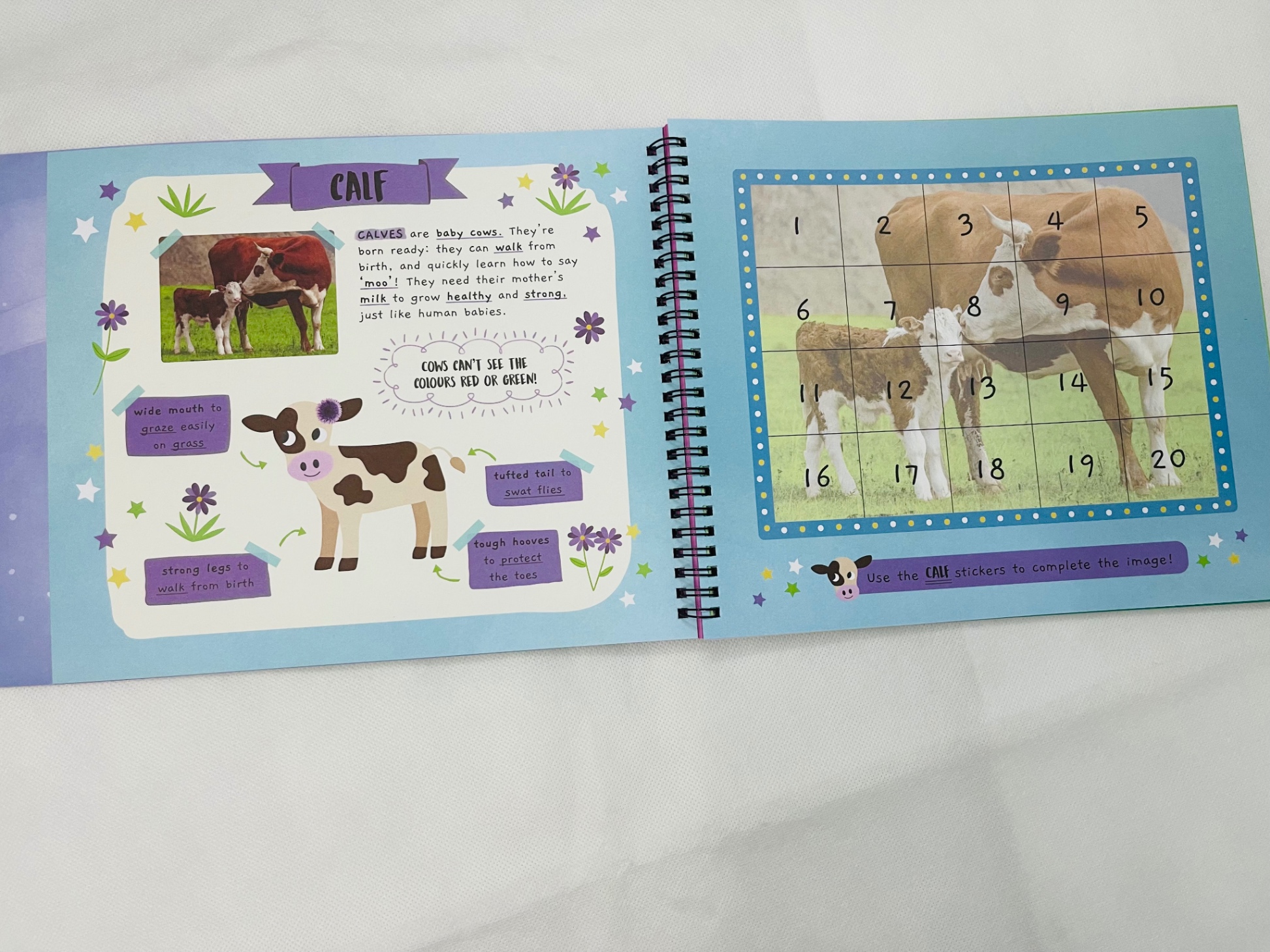 little wonders sticker by number - baby animals