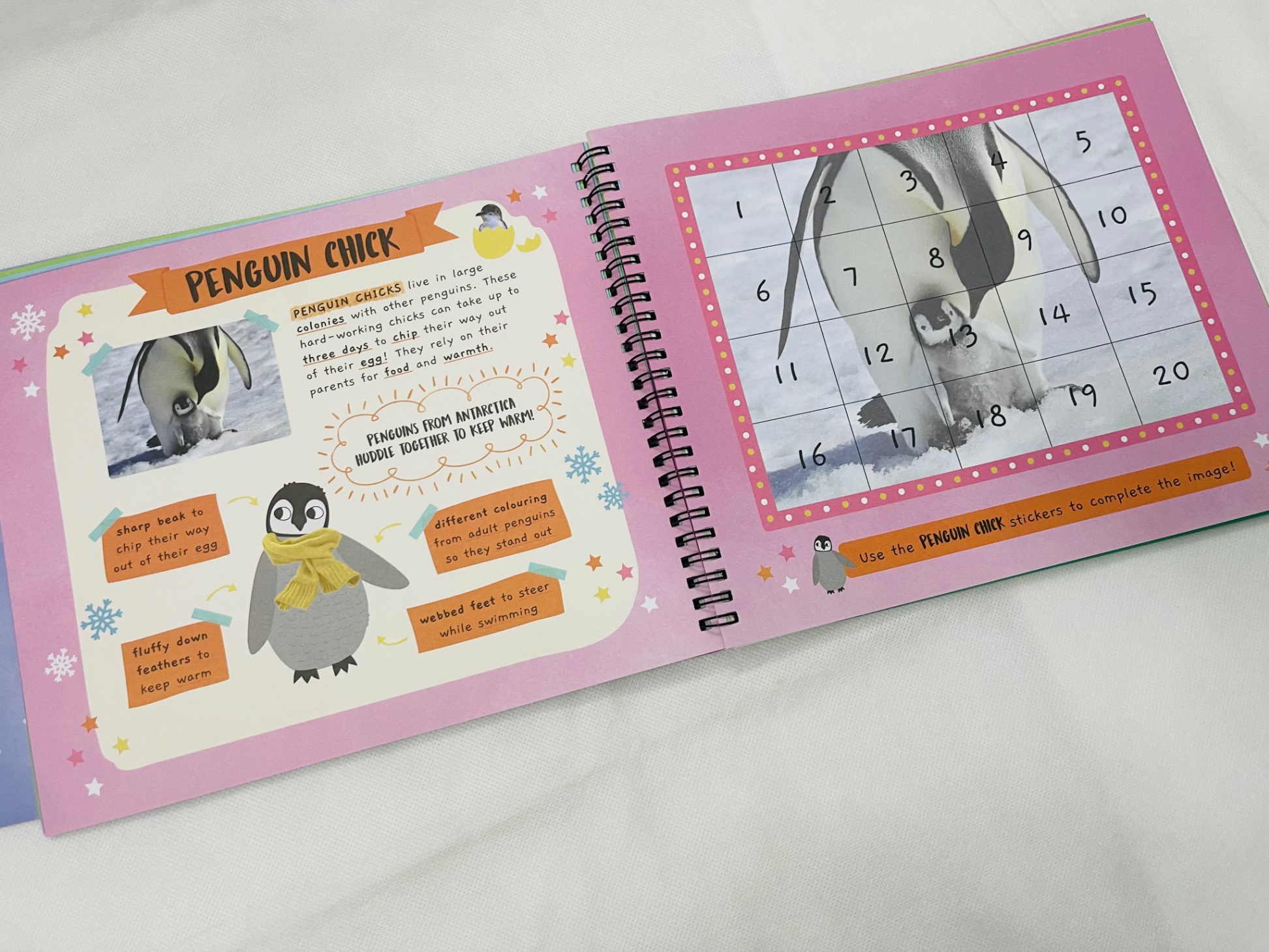 little wonders sticker by number - baby animals