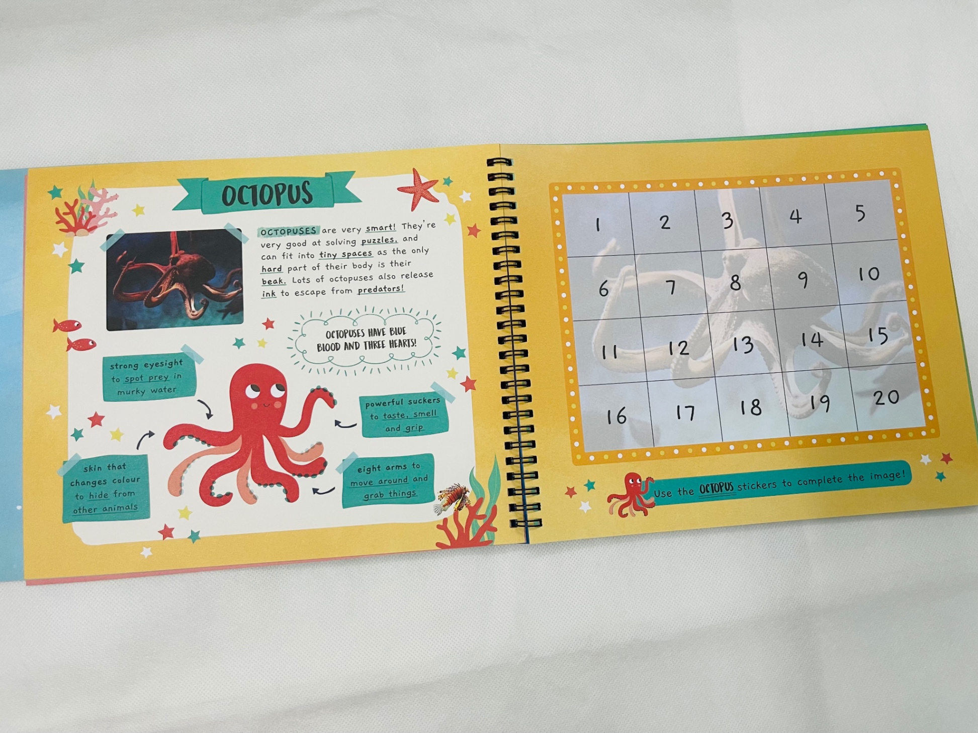 little wonders sticker by number - in the ocean