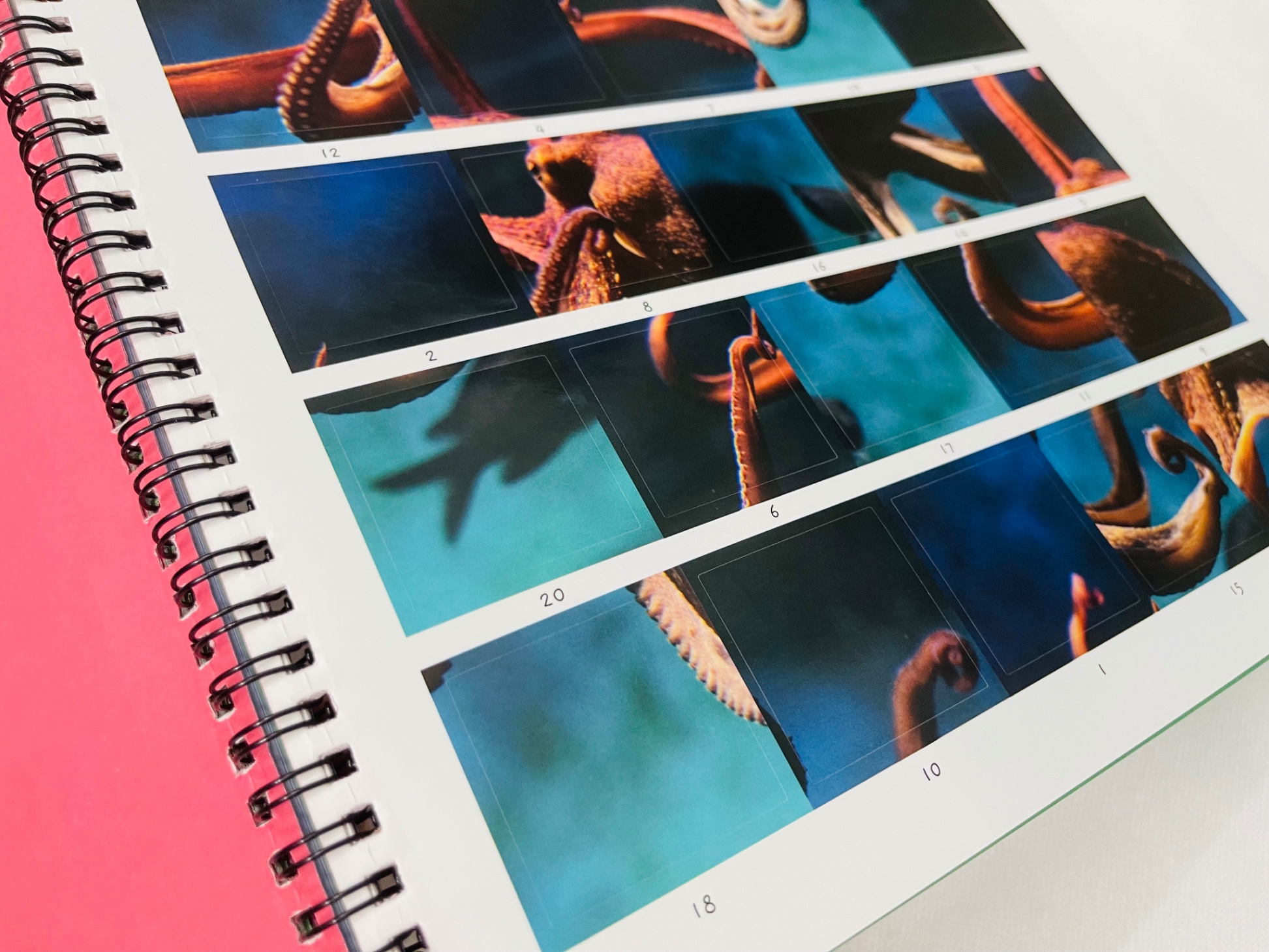 little wonders sticker by number - in the ocean