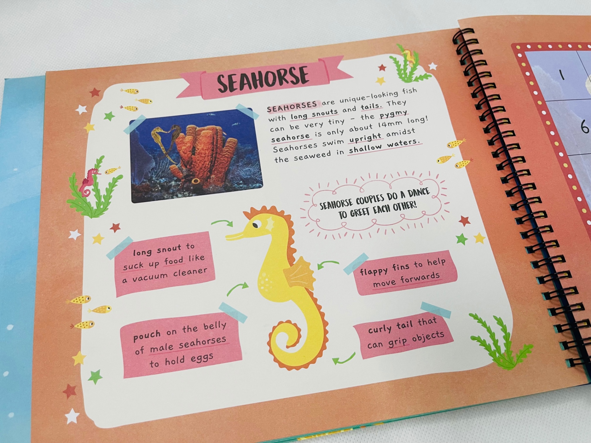 little wonders sticker by number - in the ocean