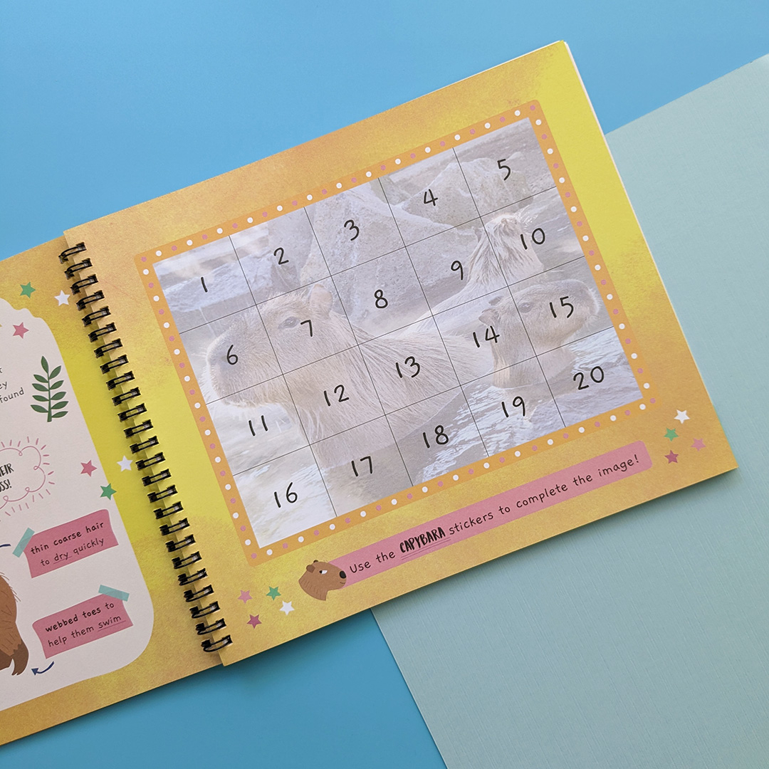 little wonders sticker by number - jungle animals