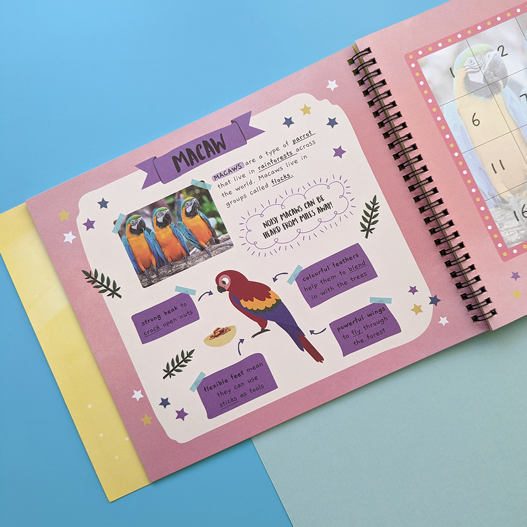 little wonders sticker by number - jungle animals