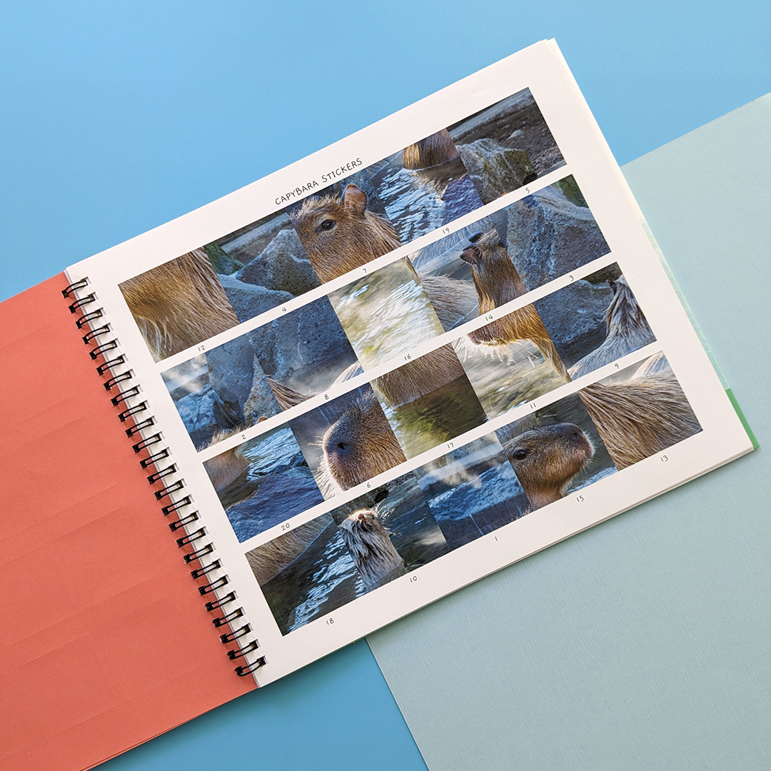 little wonders sticker by number - jungle animals