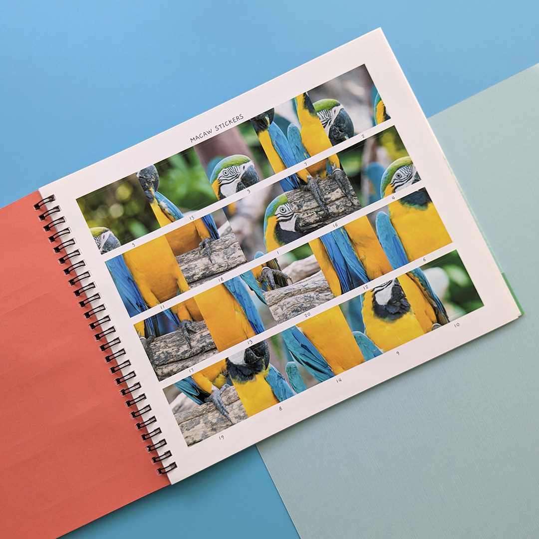 little wonders sticker by number - jungle animals