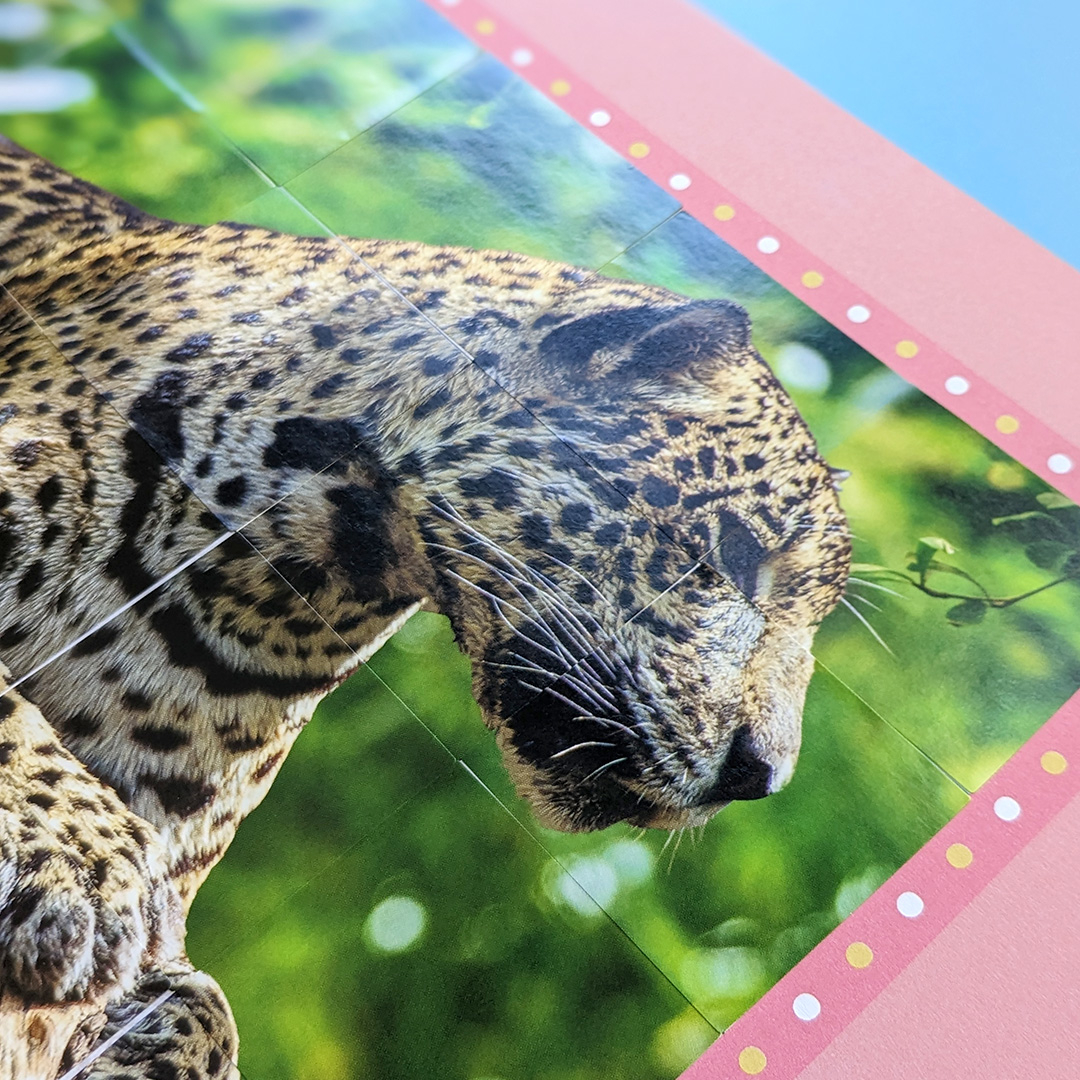 little wonders sticker by number - jungle animals