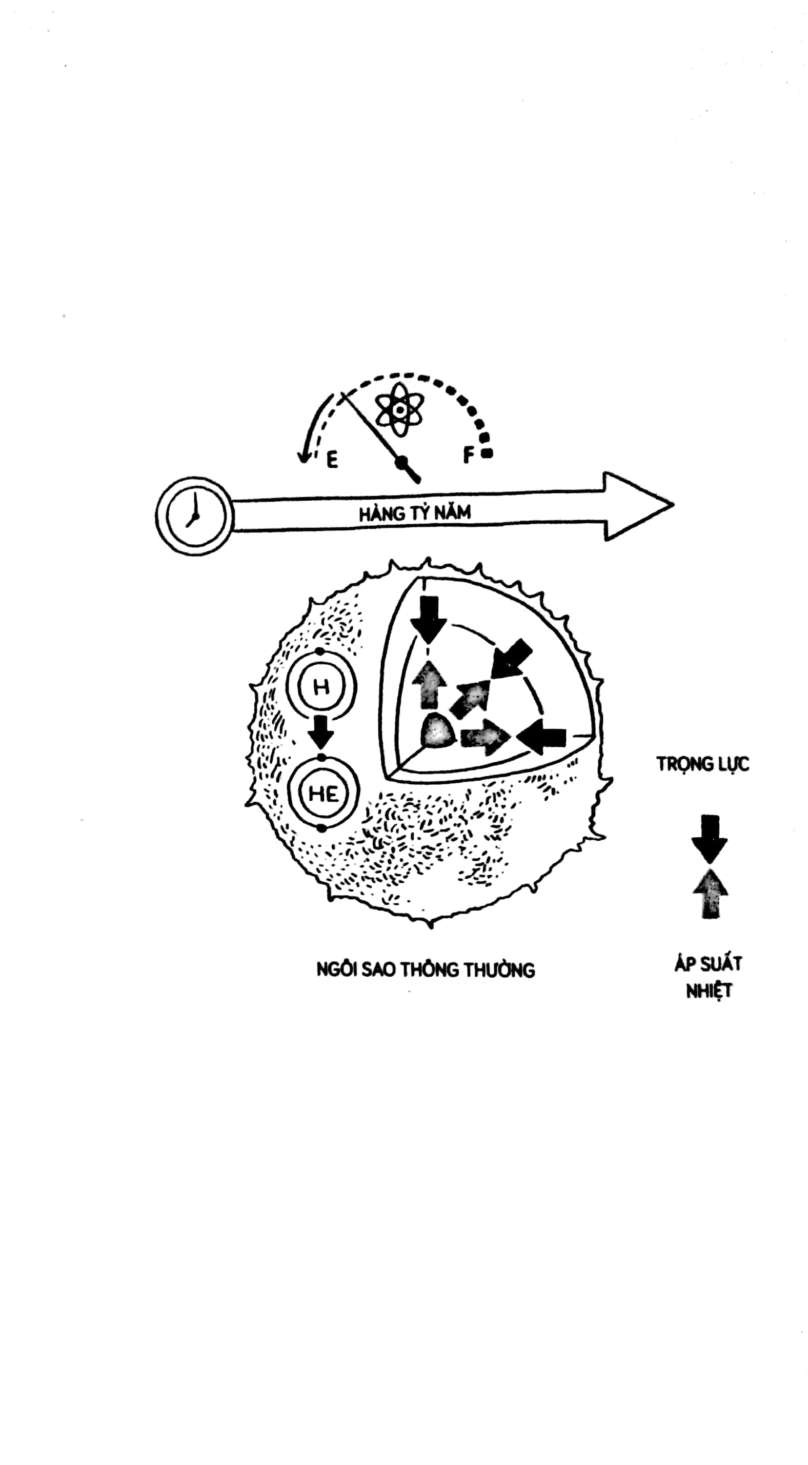 lỗ đen: các bài tuyết giảng trên đài