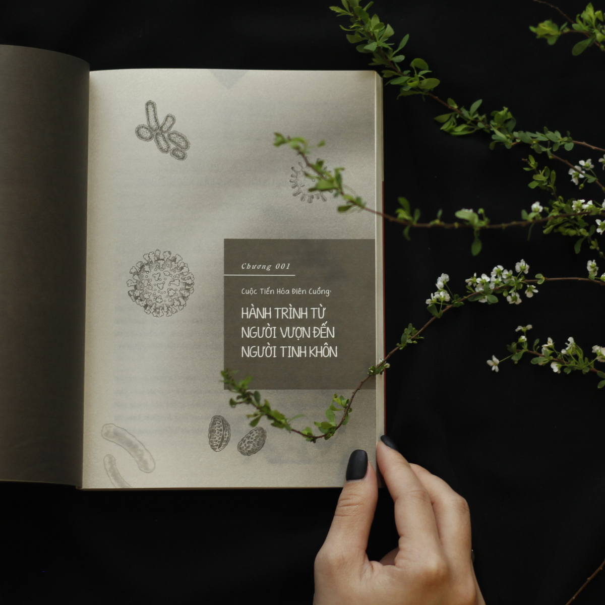 loài người có gì ngoài tinh khôn?