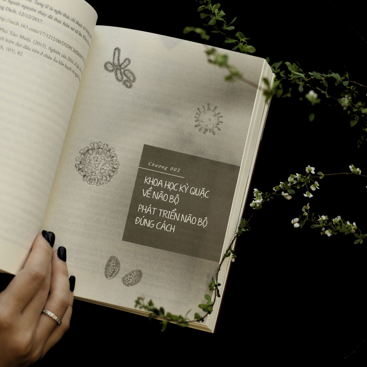 loài người có gì ngoài tinh khôn?