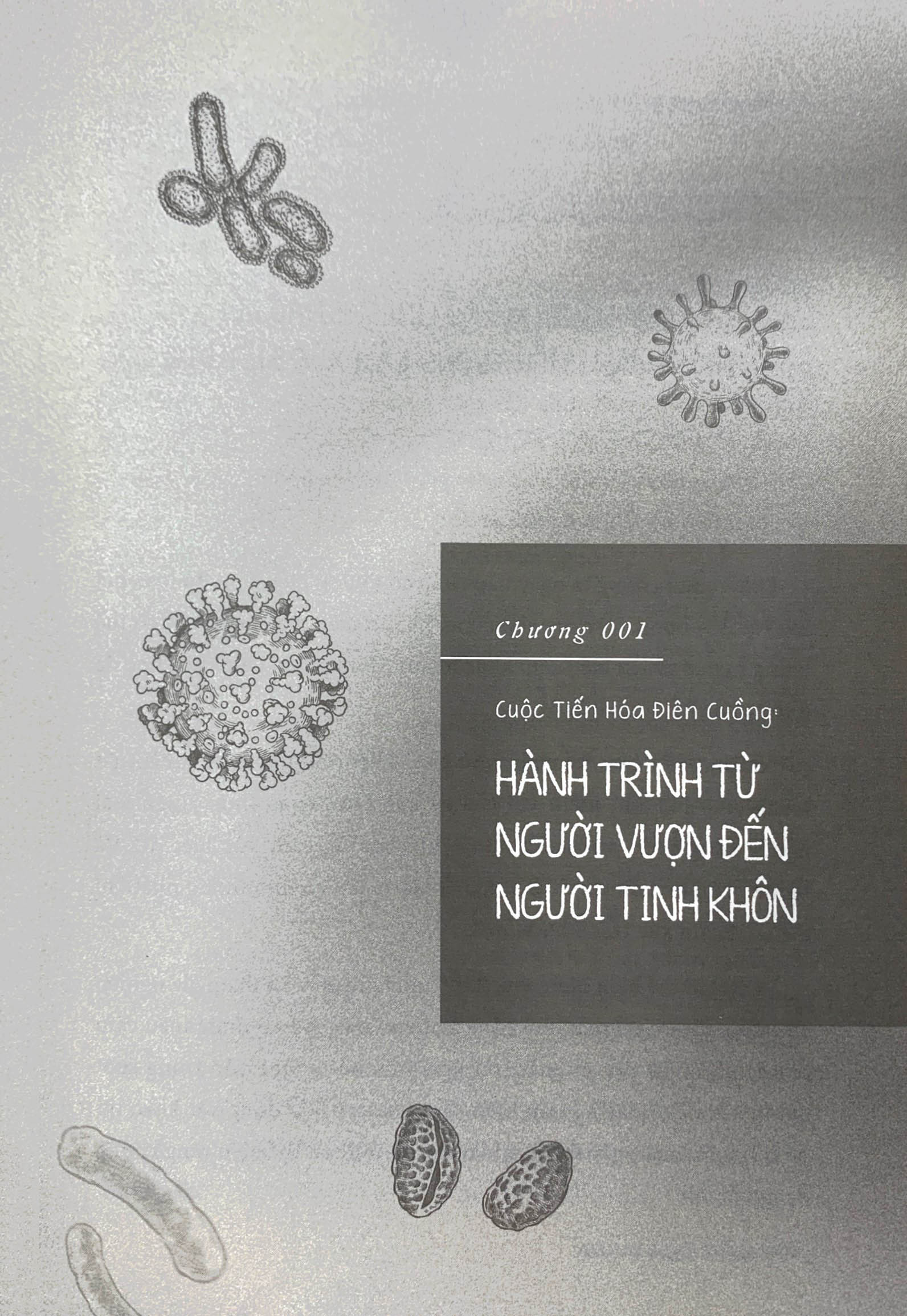 loài người có gì ngoài tinh khôn?