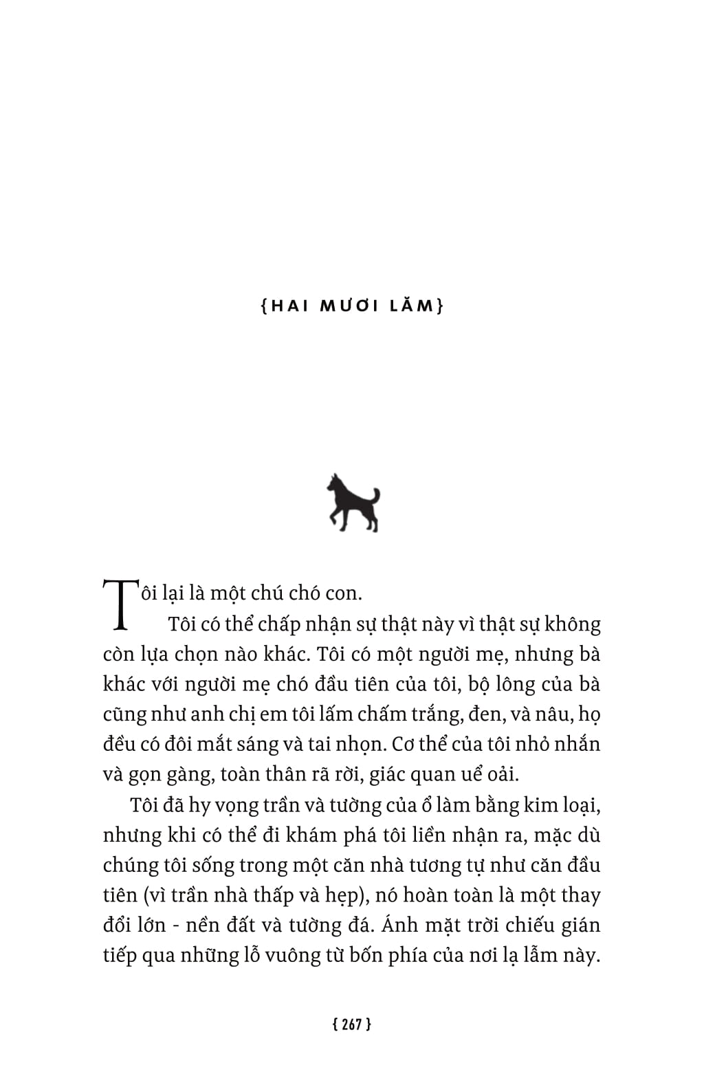 lời hứa của một chú chó - a dog's promise