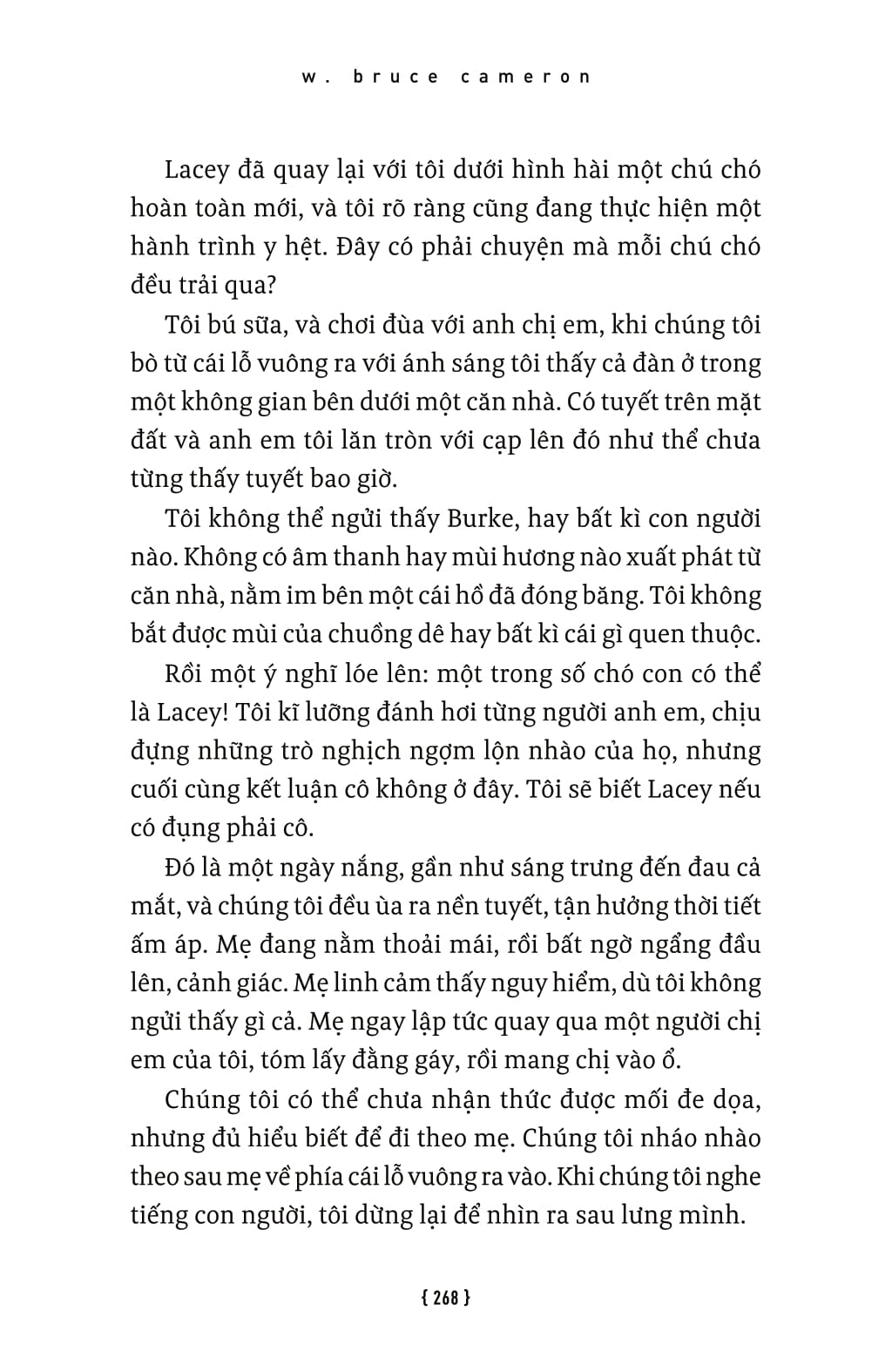 lời hứa của một chú chó - a dog's promise