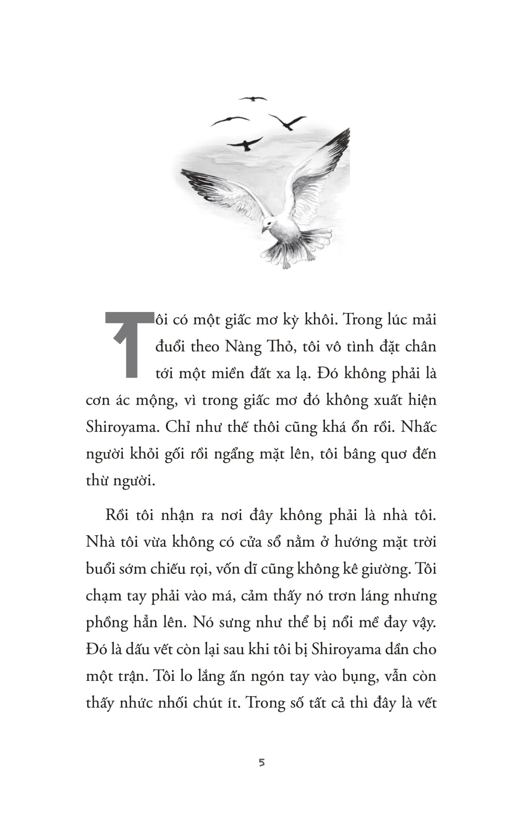 Lời Nguyền Bù Nhìn Rơm