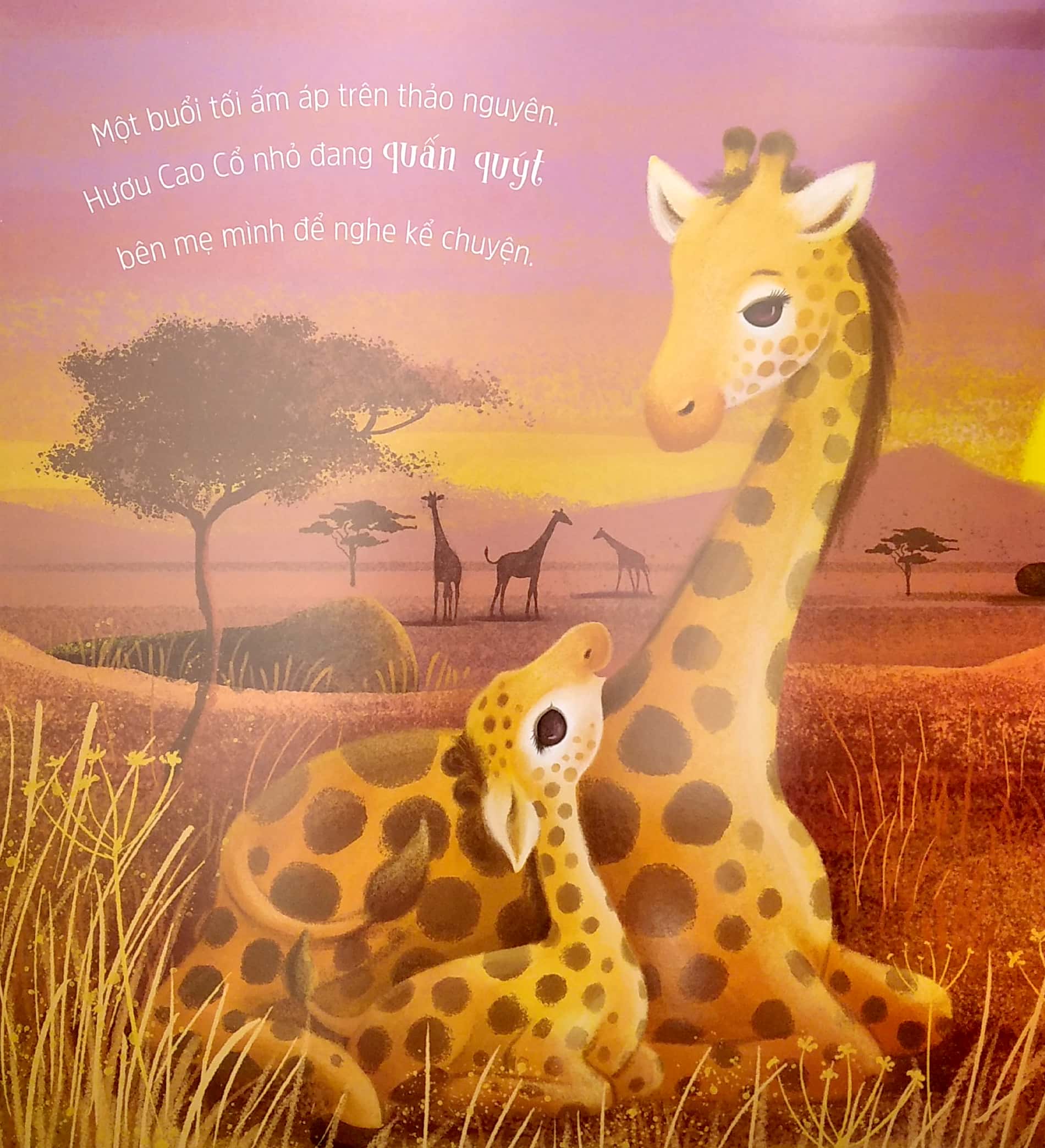 lời yêu thương của mẹ