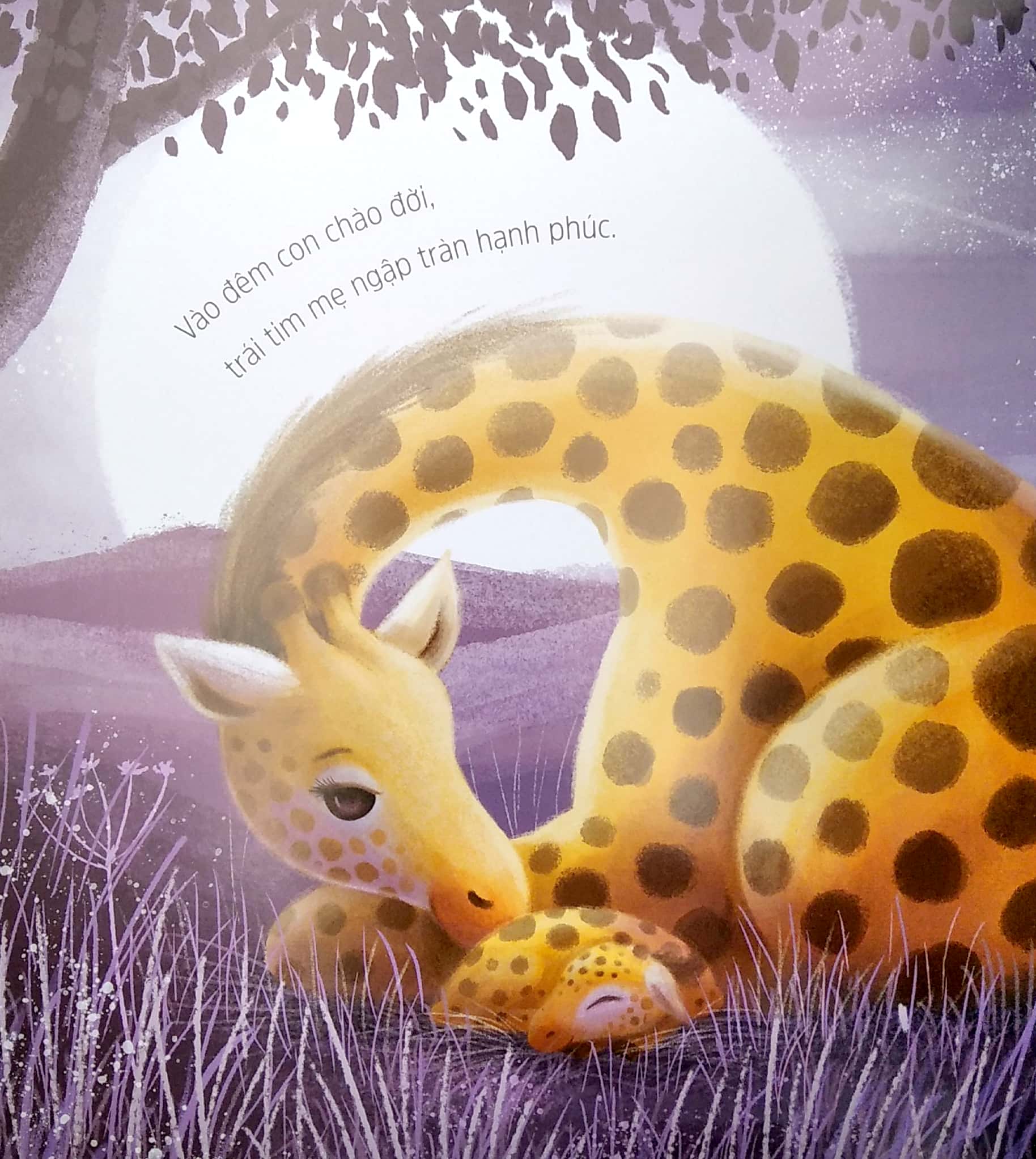 lời yêu thương của mẹ