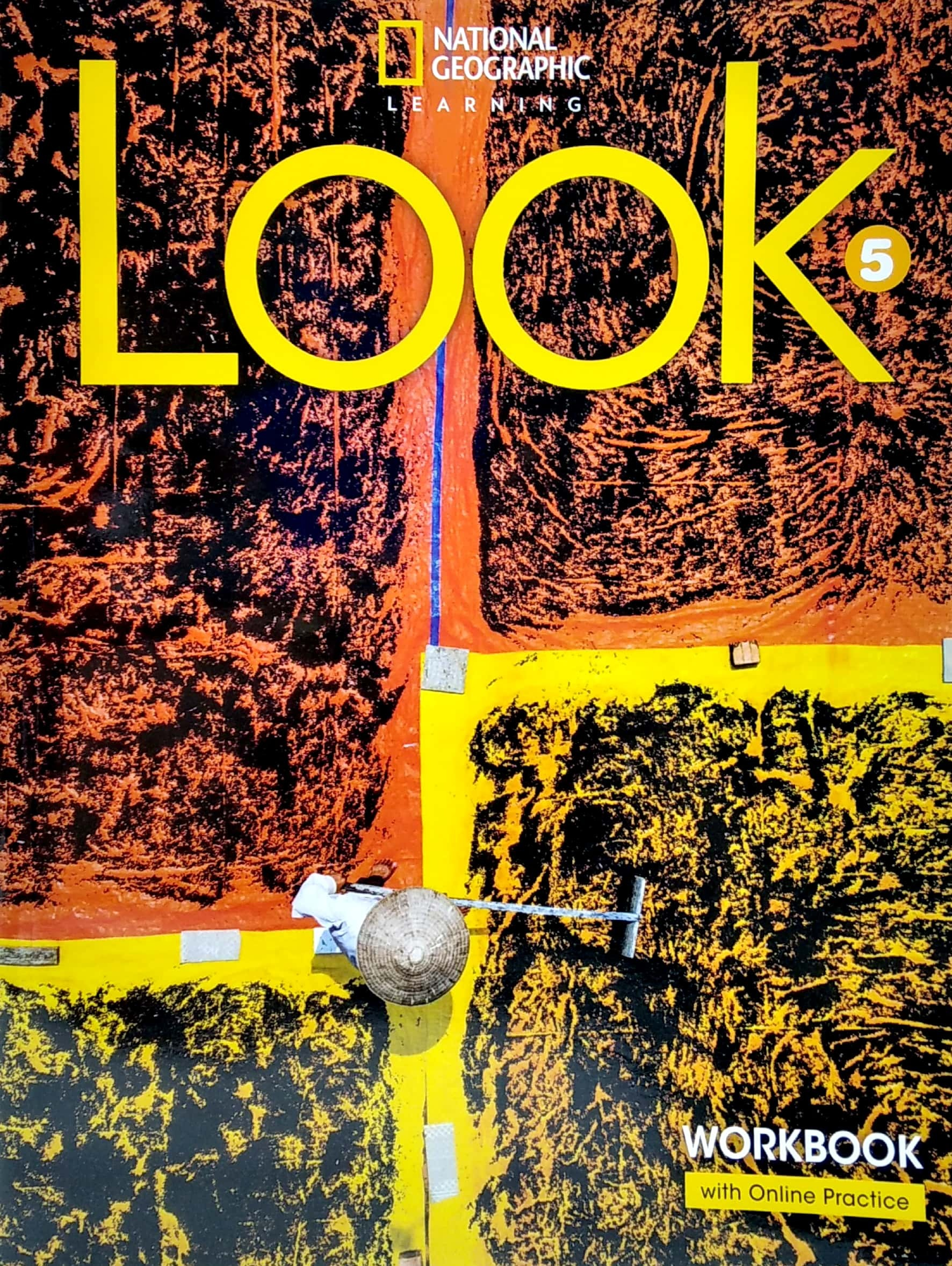 look 5 - workbook with online practice (bre)