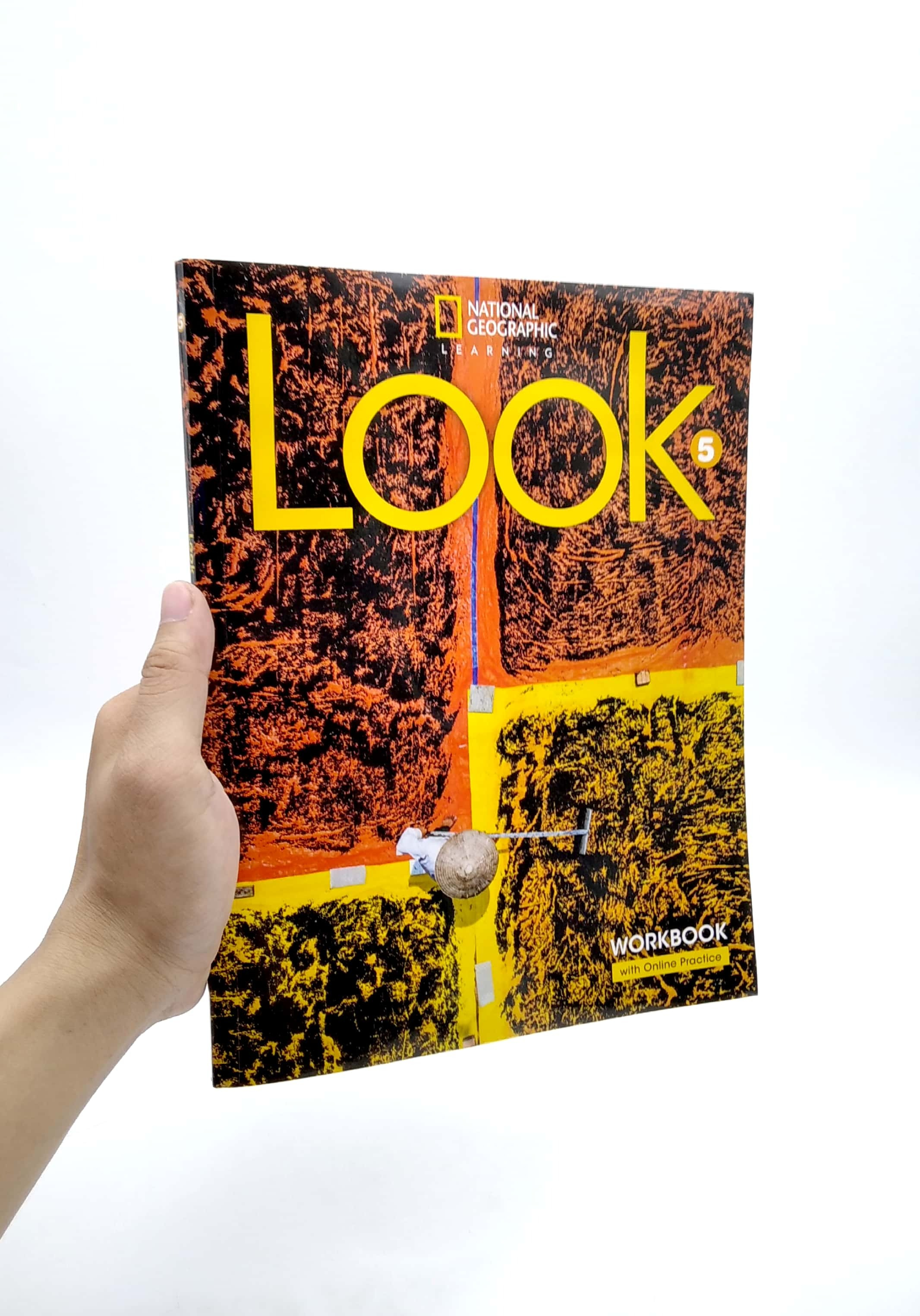 look 5 - workbook with online practice (bre)
