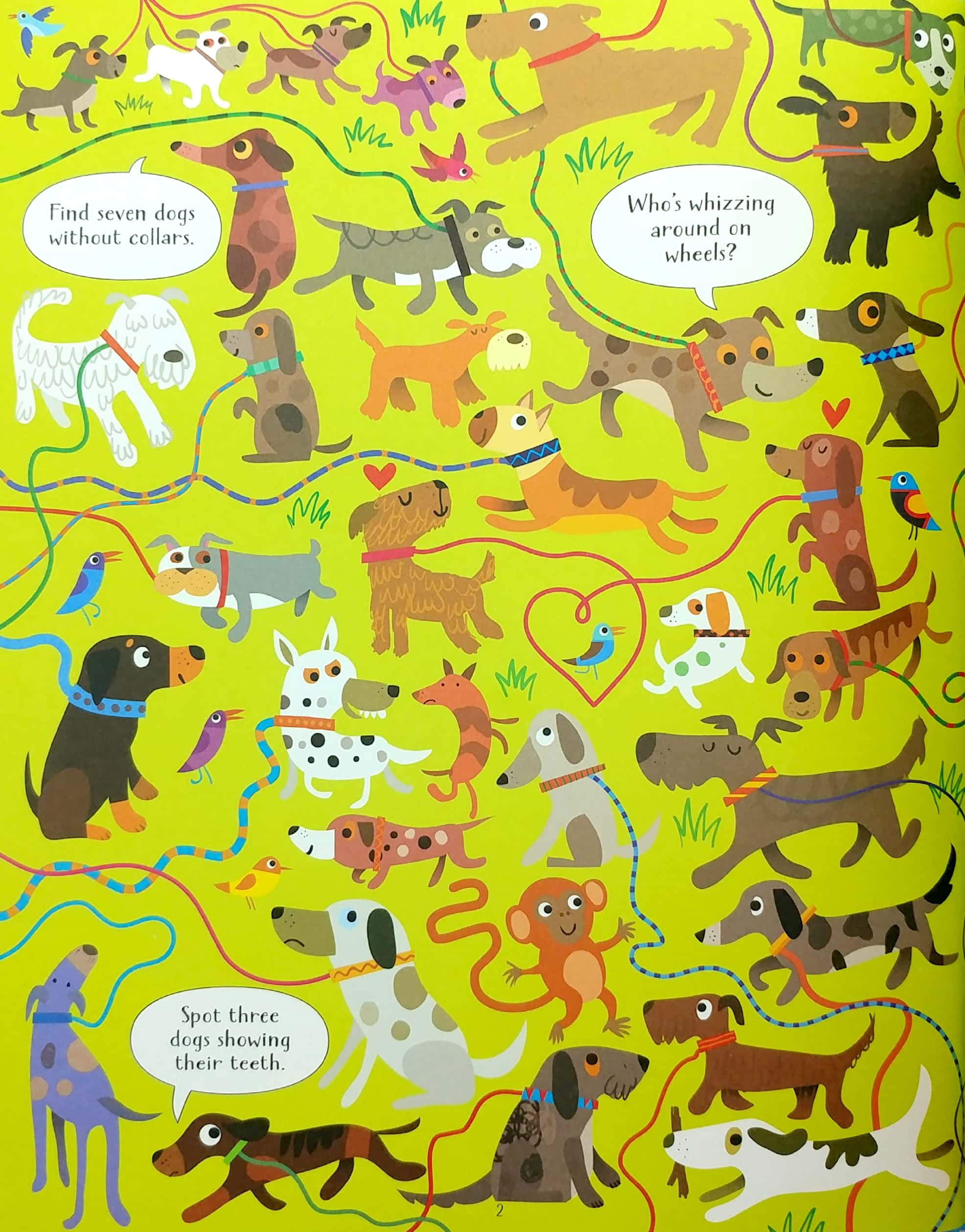 look and find cats and dogs