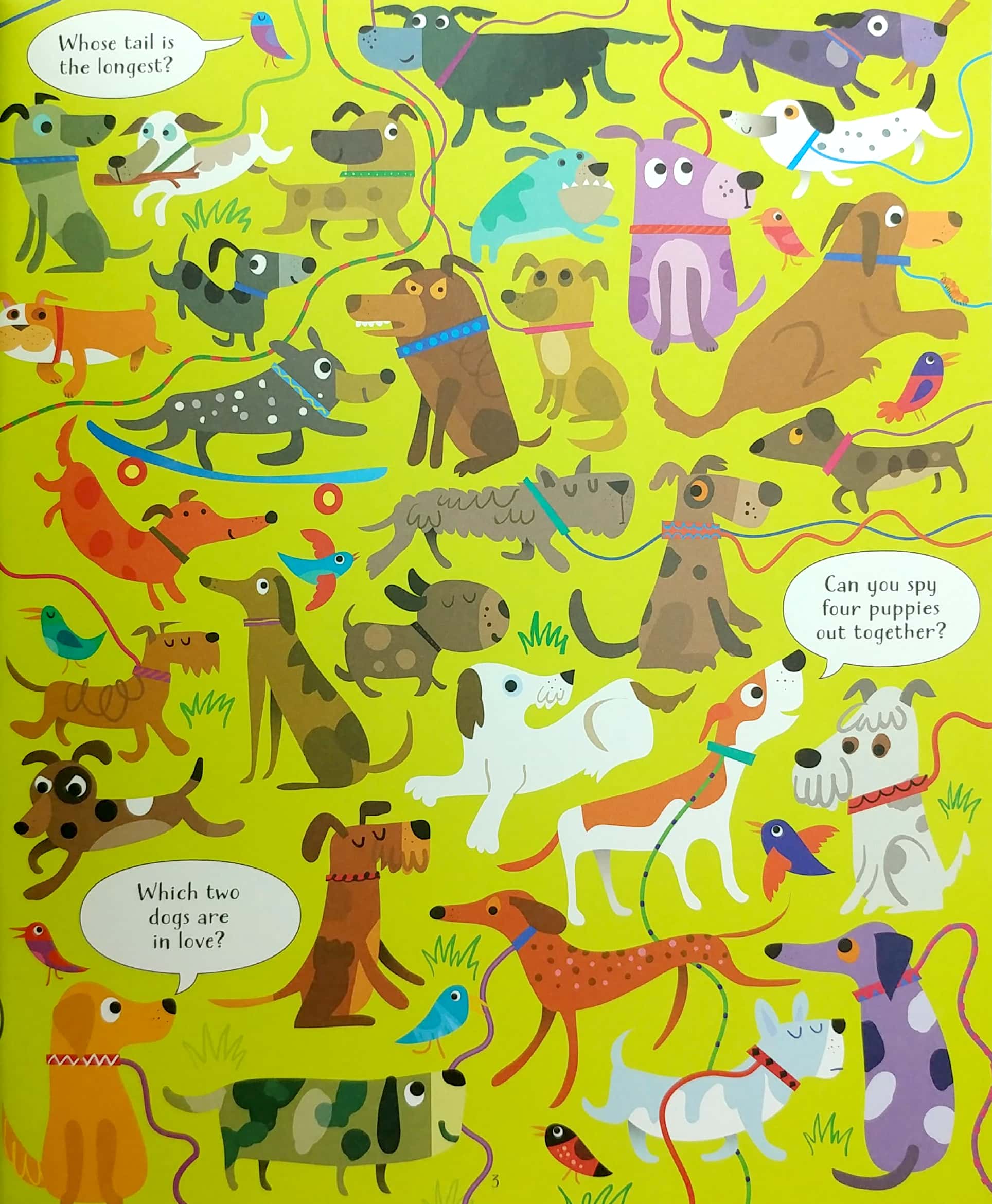 look and find cats and dogs