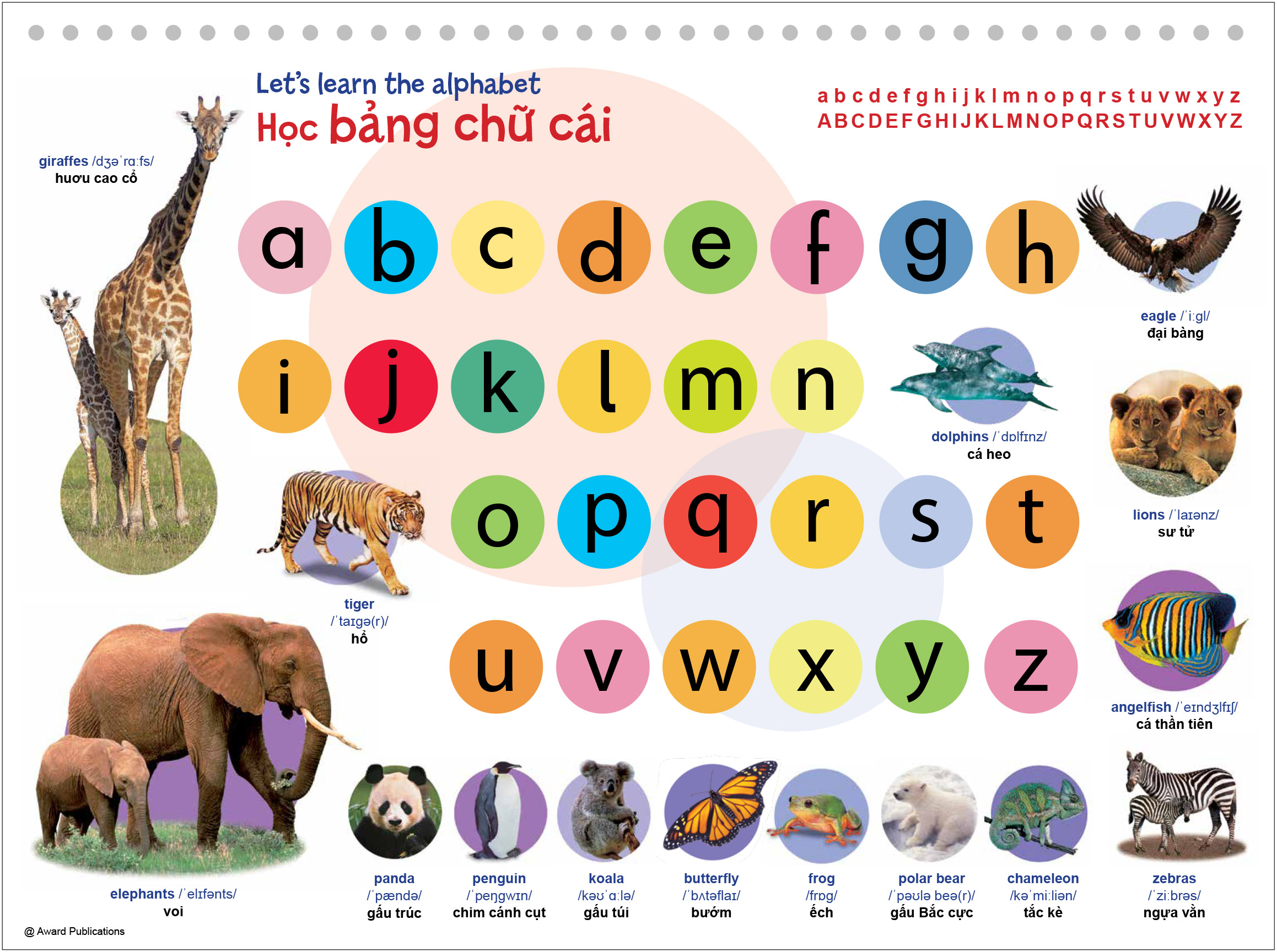 Look And Learn - Nhin Hinh Anh, Hoc Tieng Anh