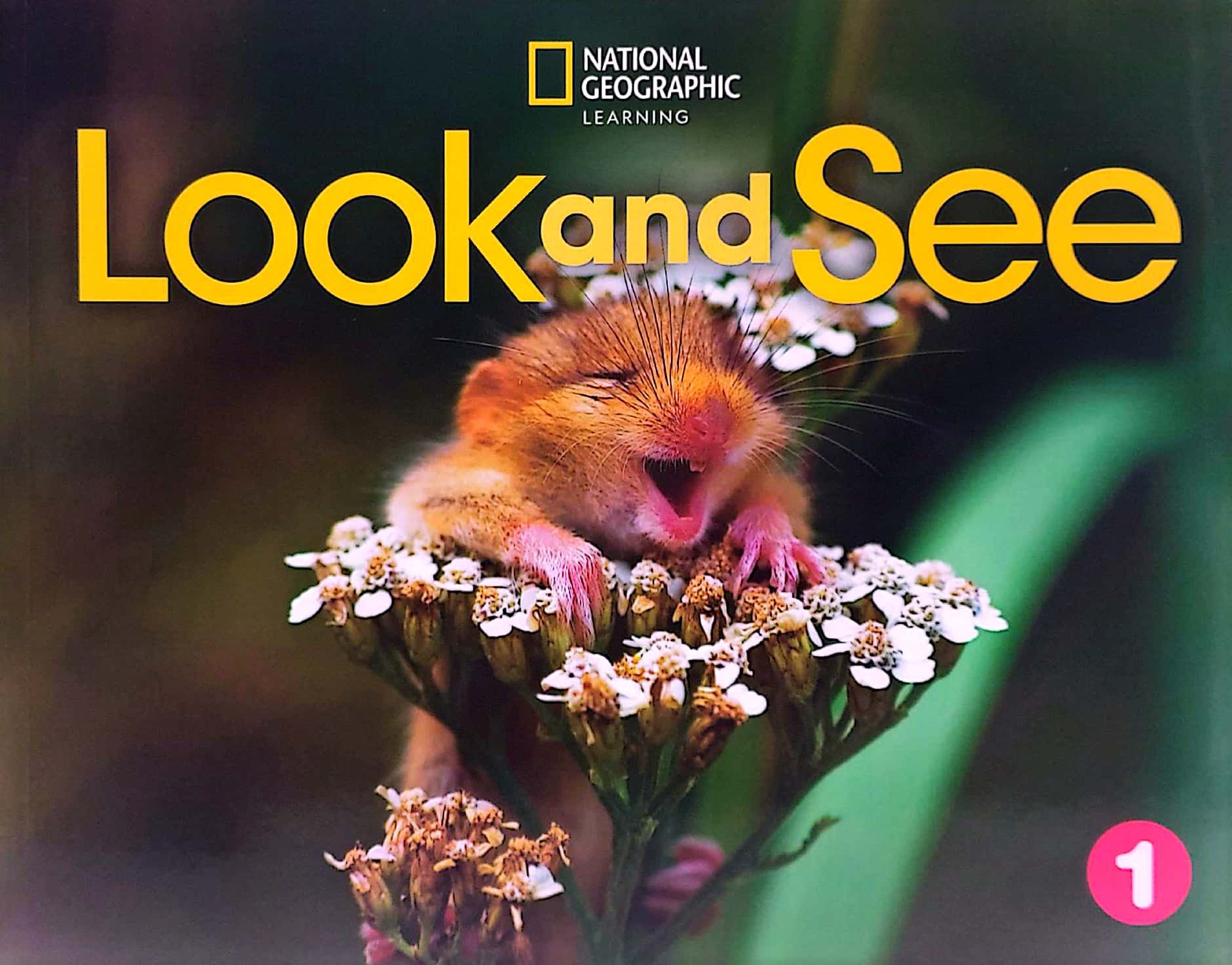 look and see 1 ame: student's book with online practice and studentℹs ebook