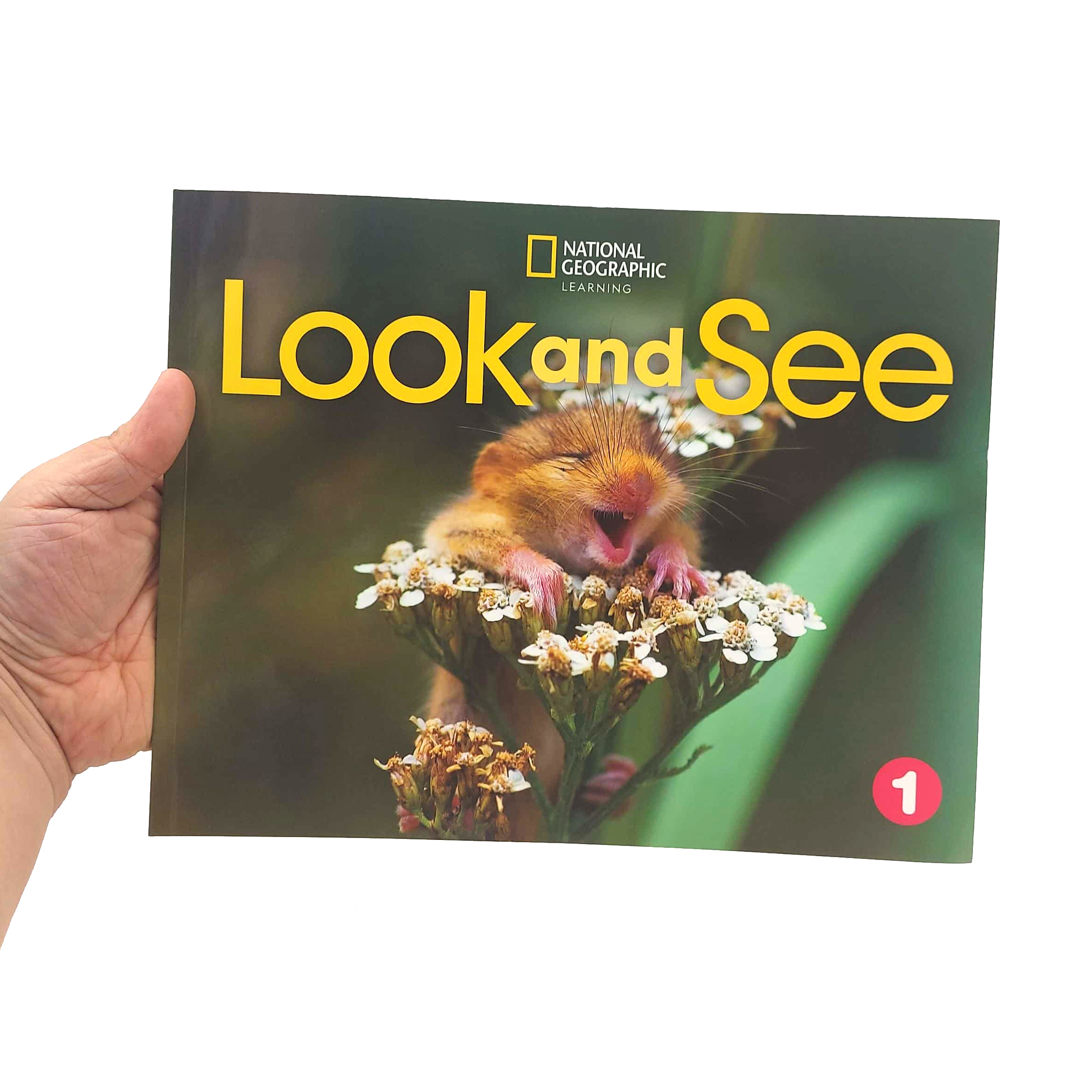 look and see 1 ame: student's book with online practice and studentℹs ebook